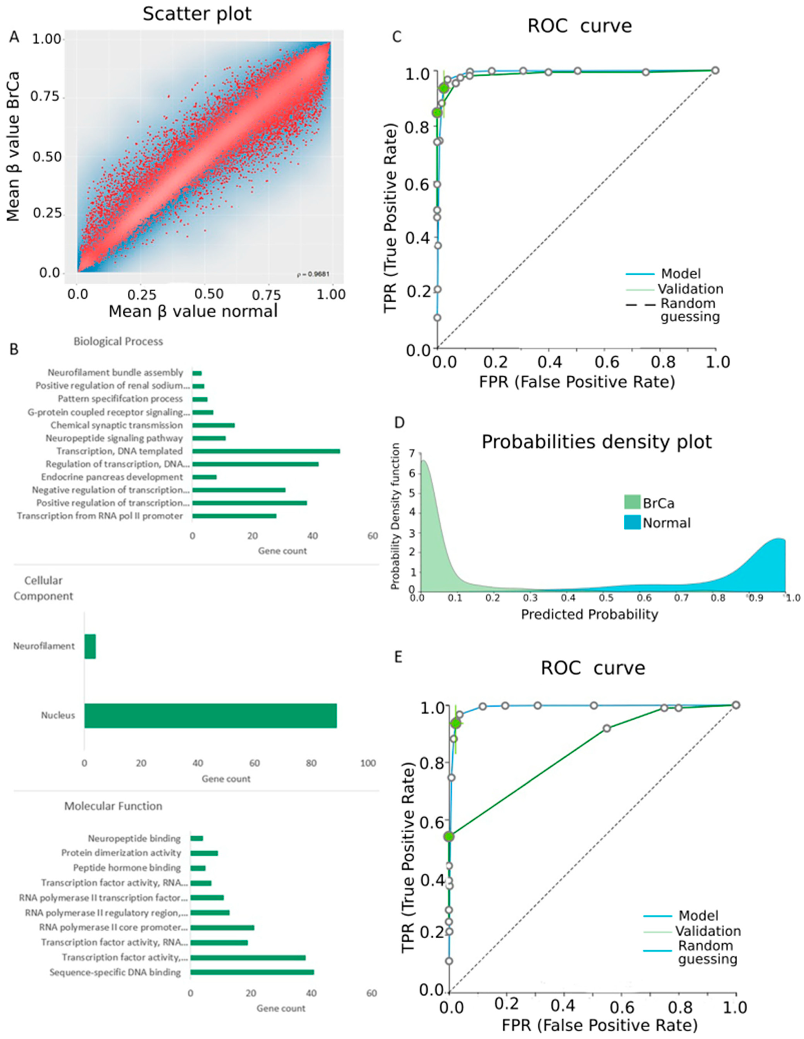 Cancers 13 01677 g002