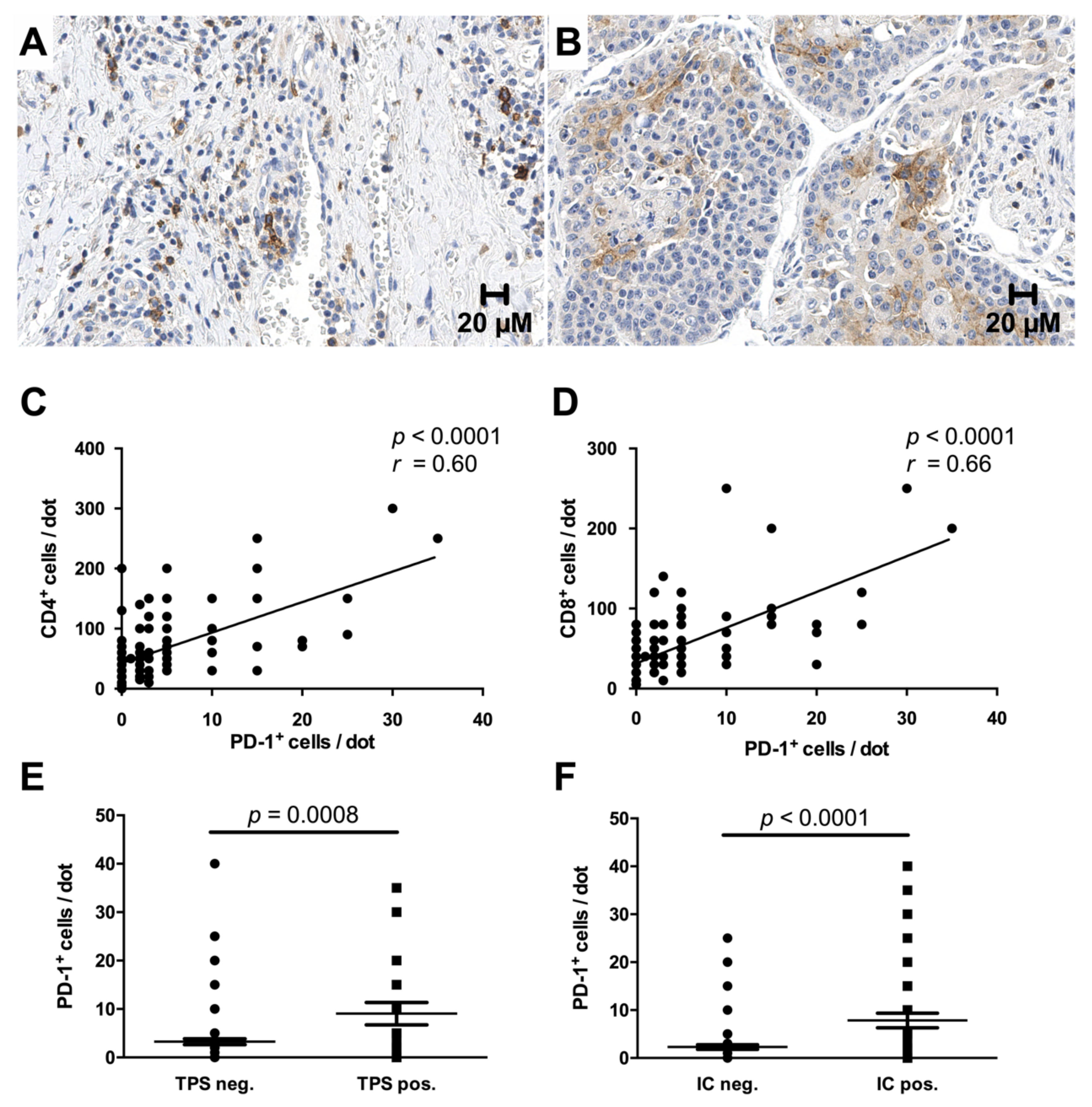 Cancers 13 01682 g005