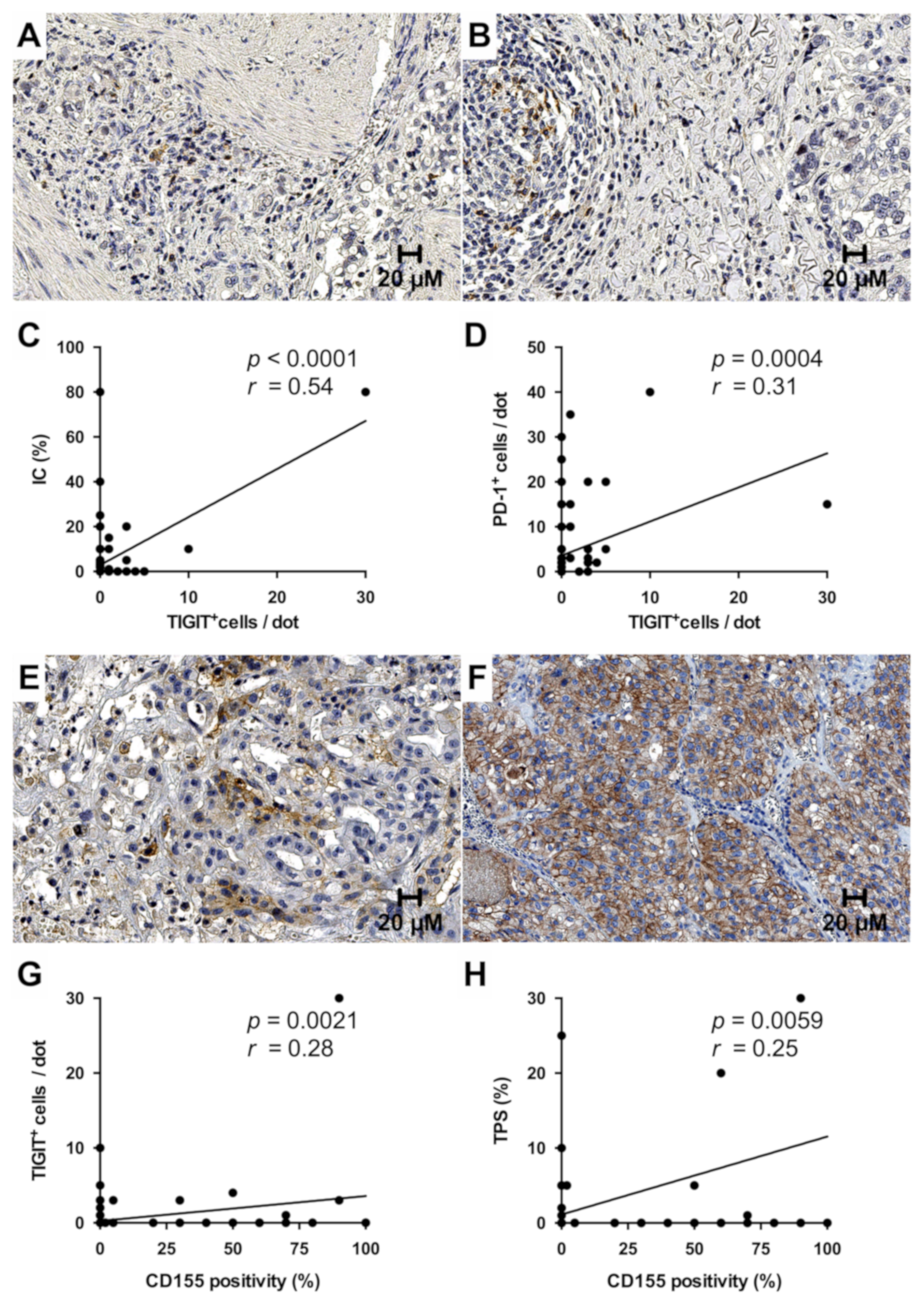Cancers 13 01682 g006