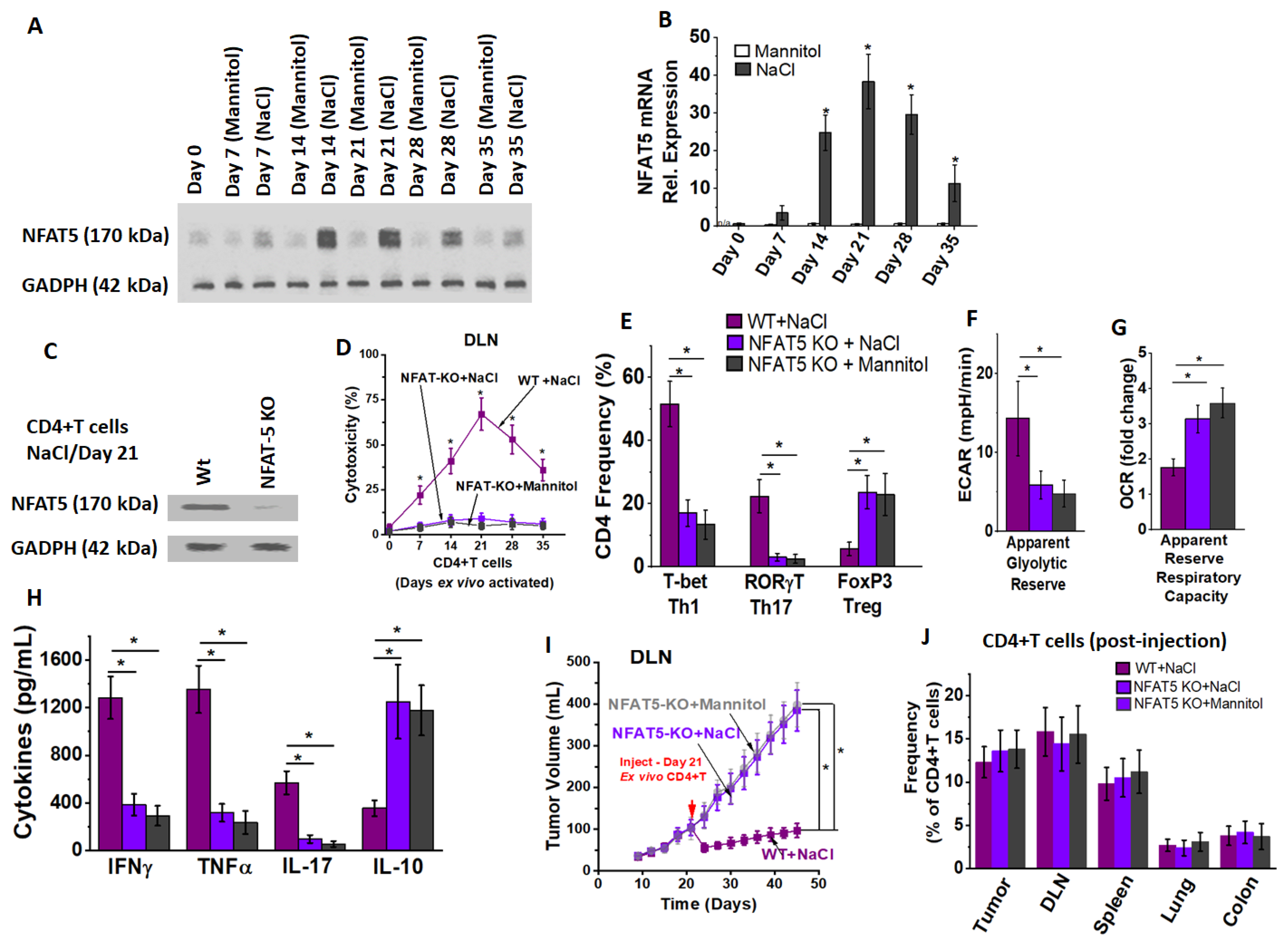 Cancers 13 01690 g007