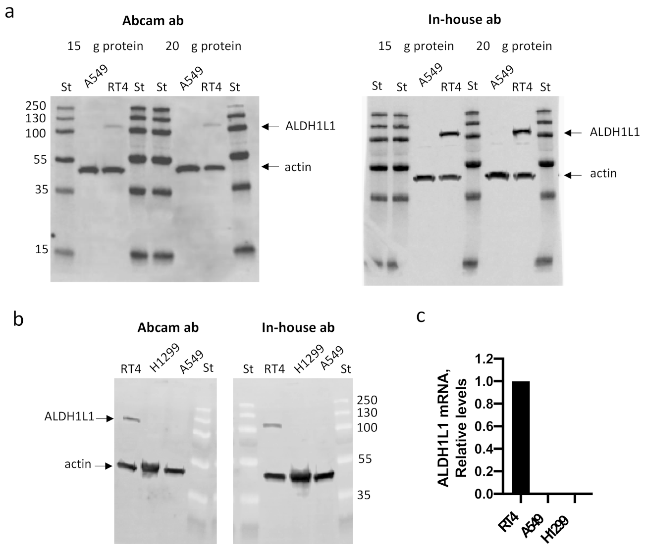 Cancers 13 01691 g001