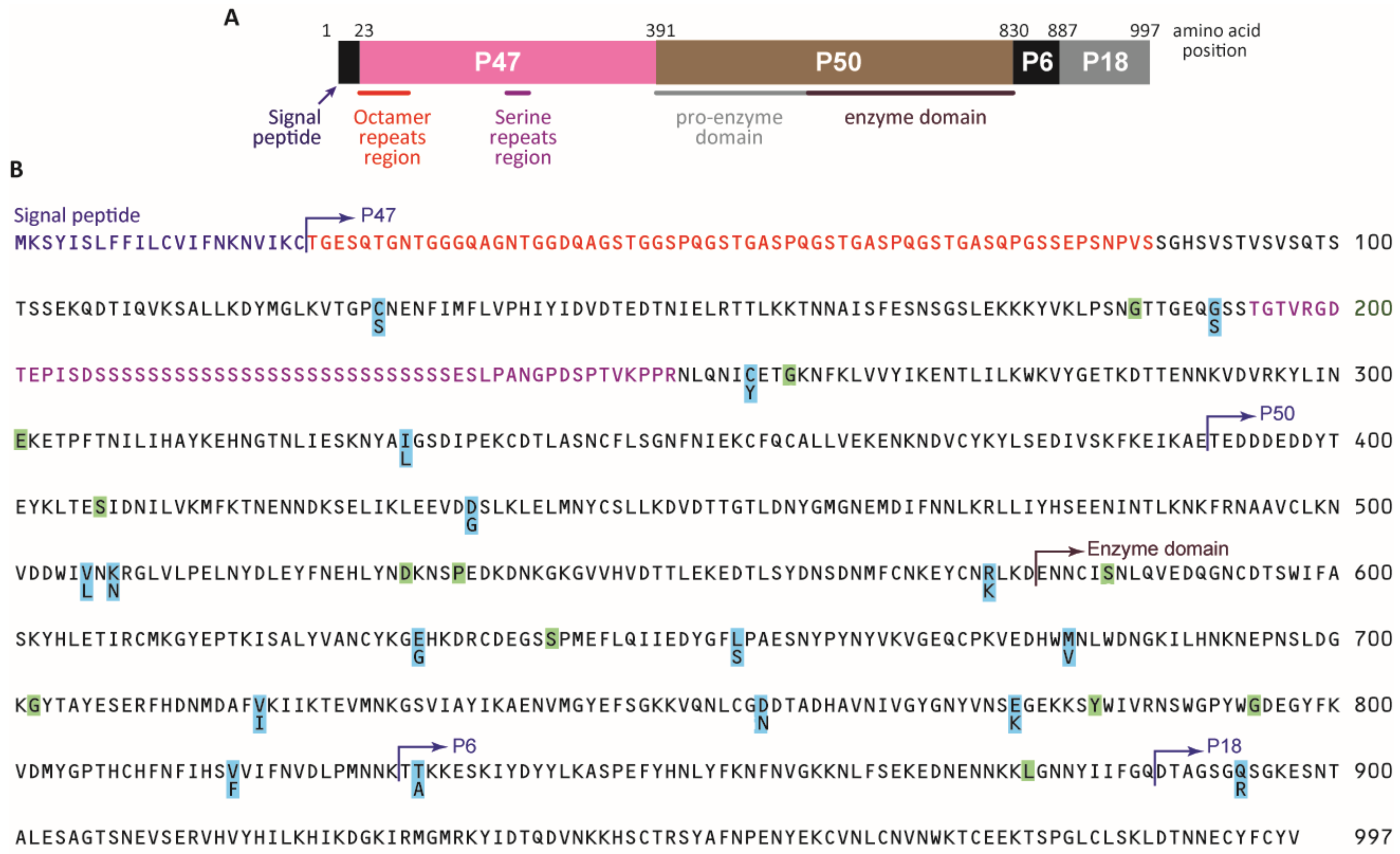 Cancers 13 01692 g001