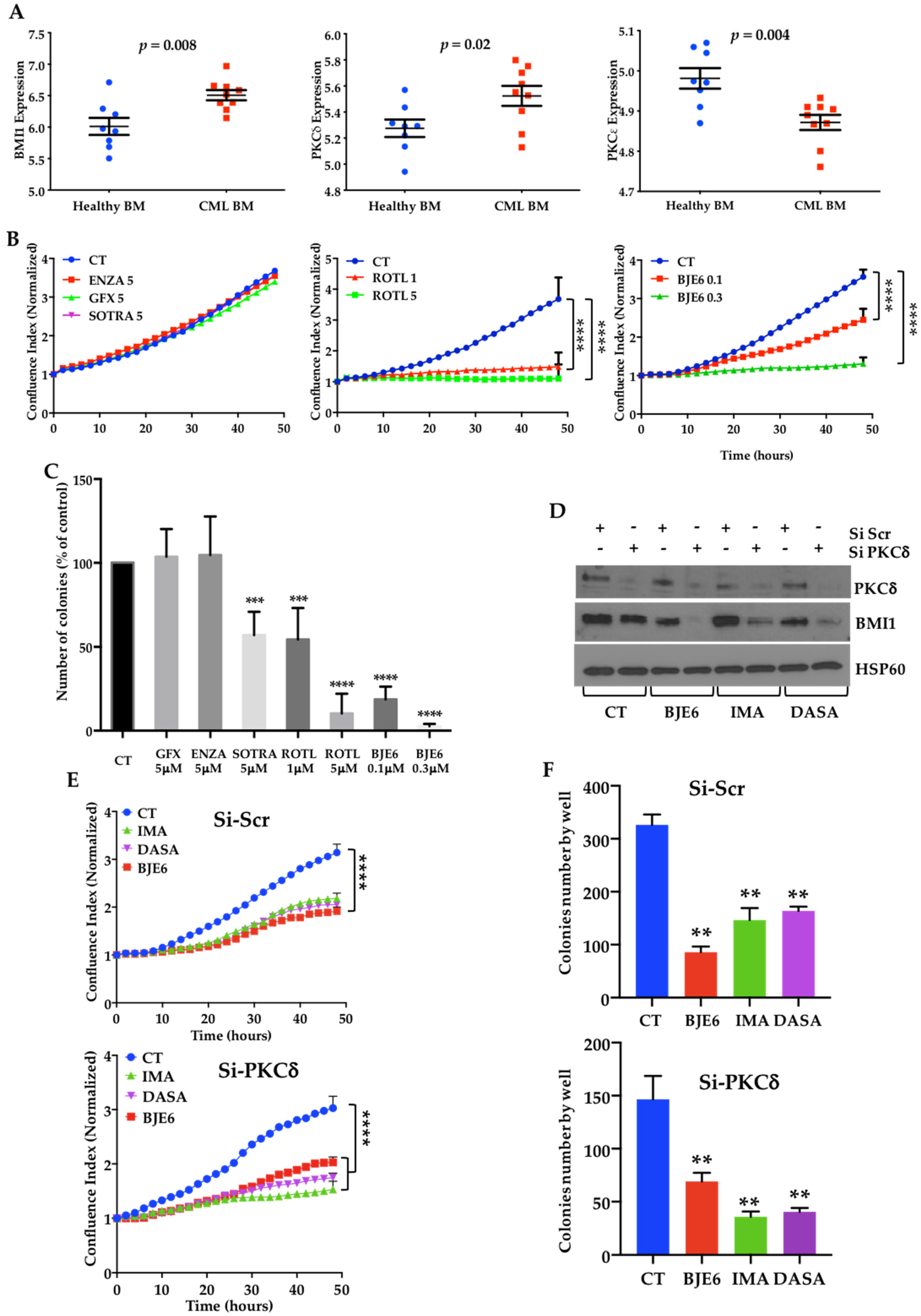 Cancers 13 01693 g001