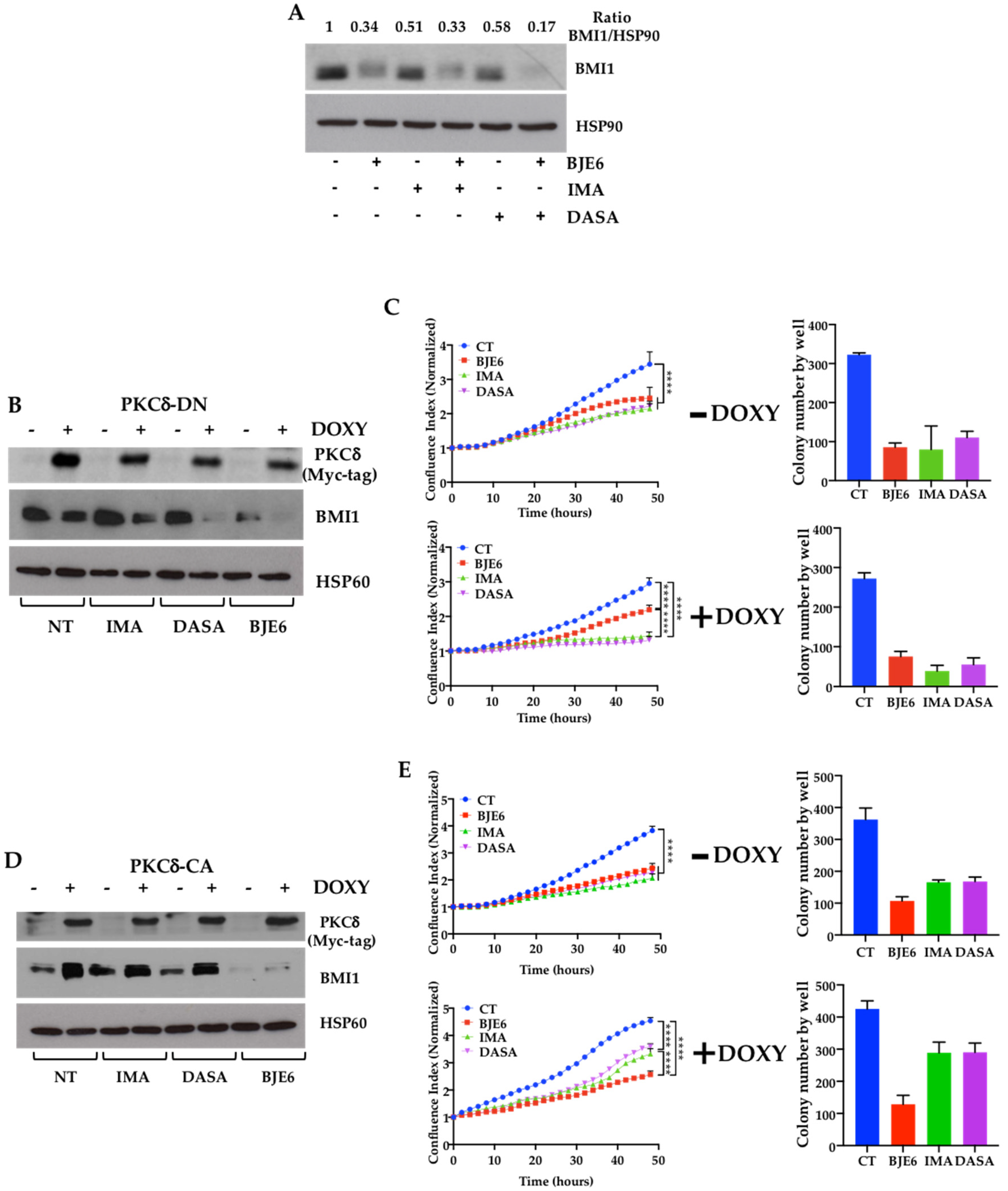 Cancers 13 01693 g002