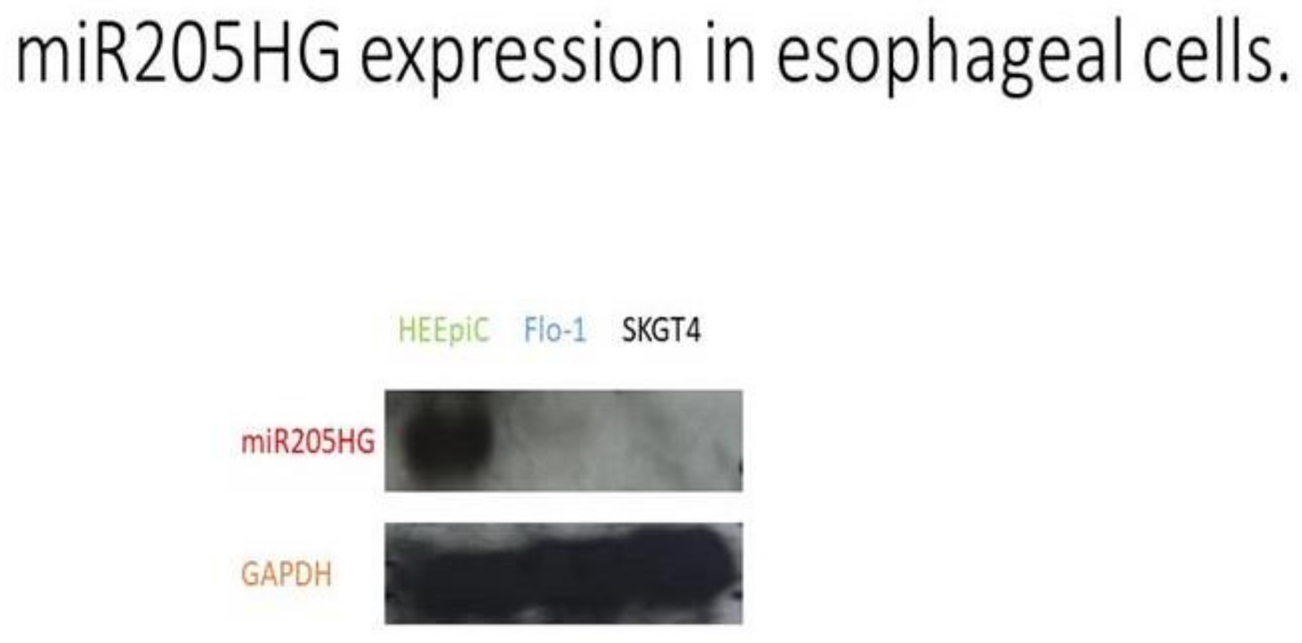 Cancers 13 01707 g003 Cancers 13 01707 g003