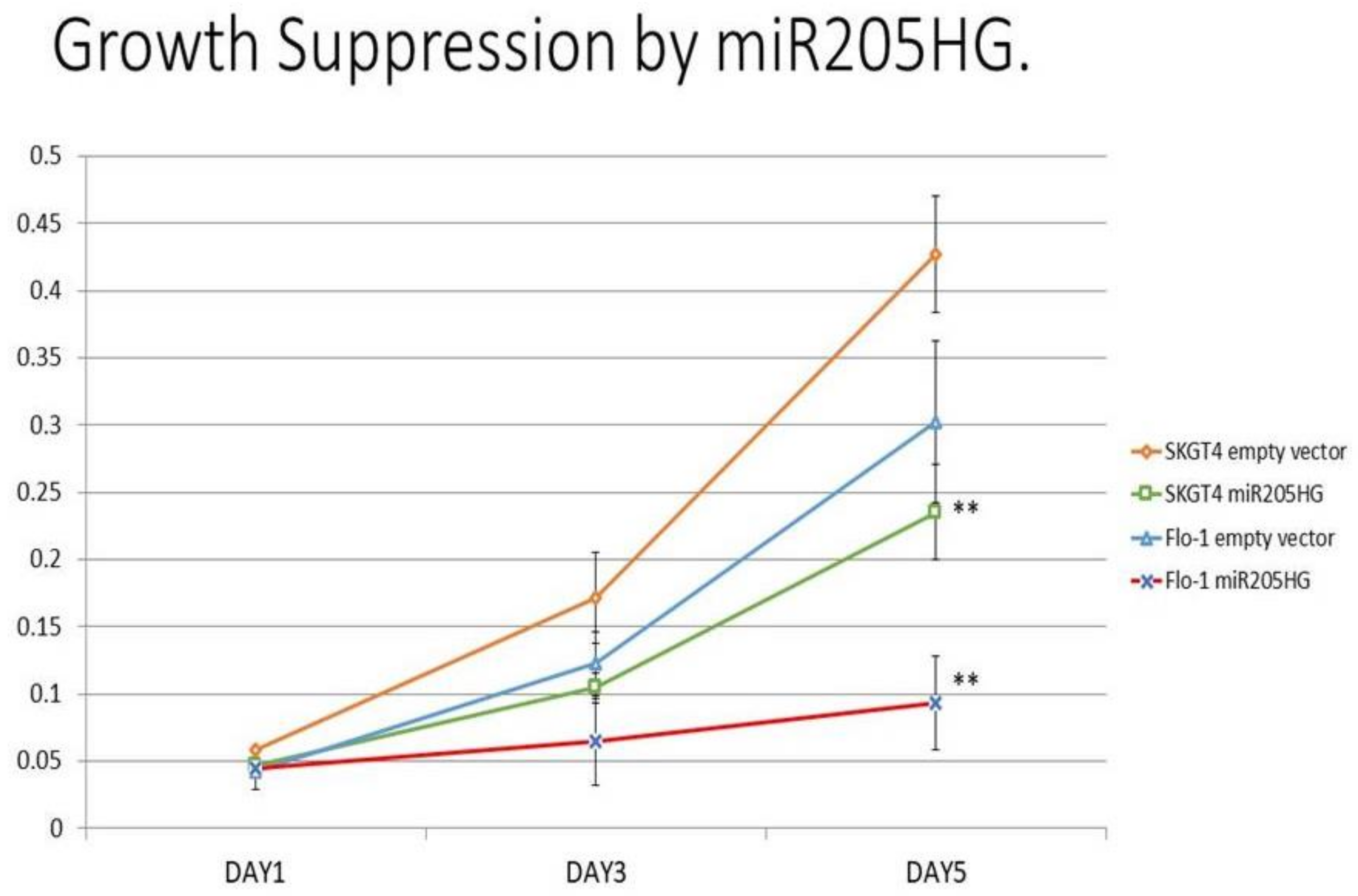 Cancers 13 01707 g008 Cancers 13 01707 g008