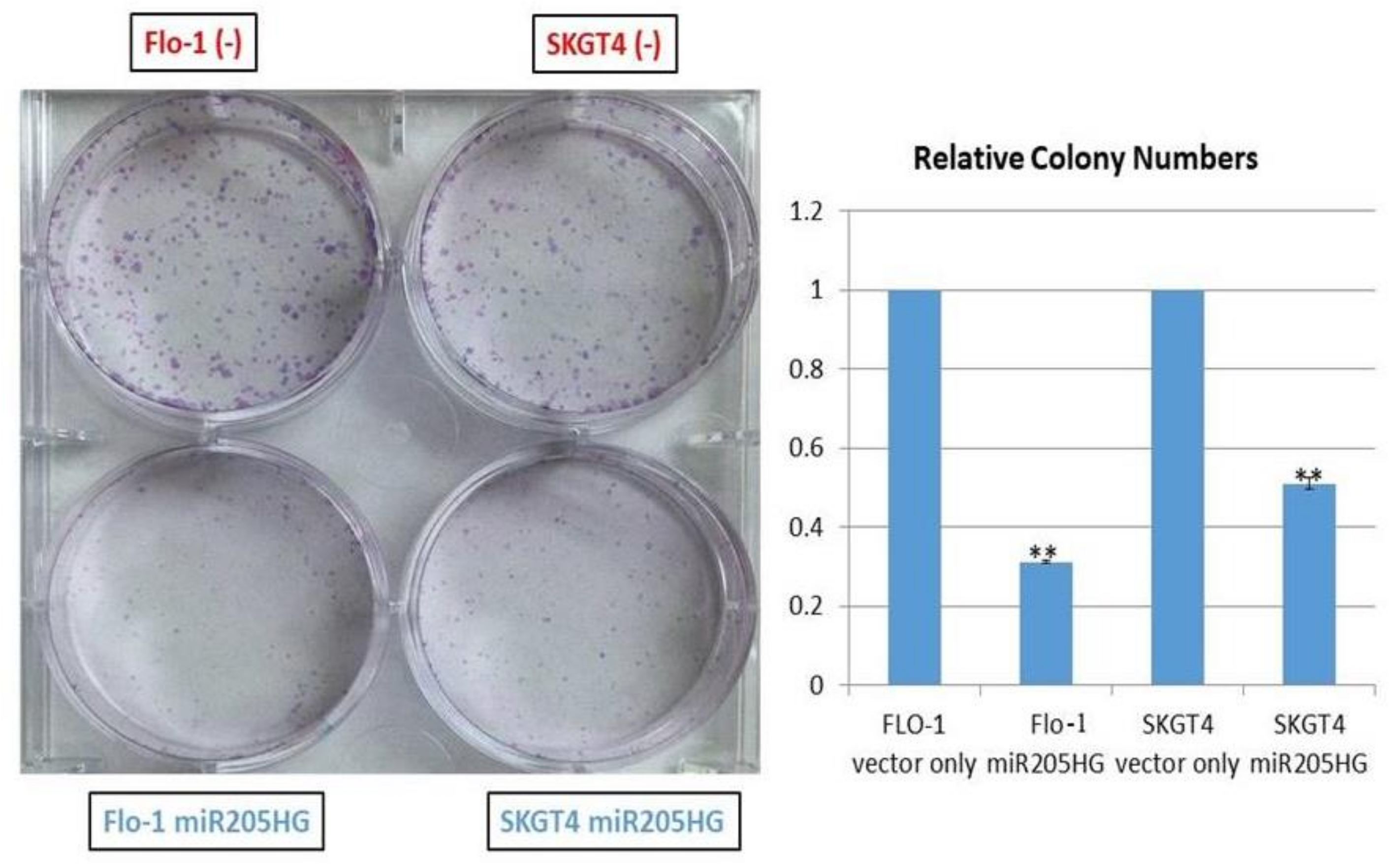 Cancers 13 01707 g009 Cancers 13 01707 g009