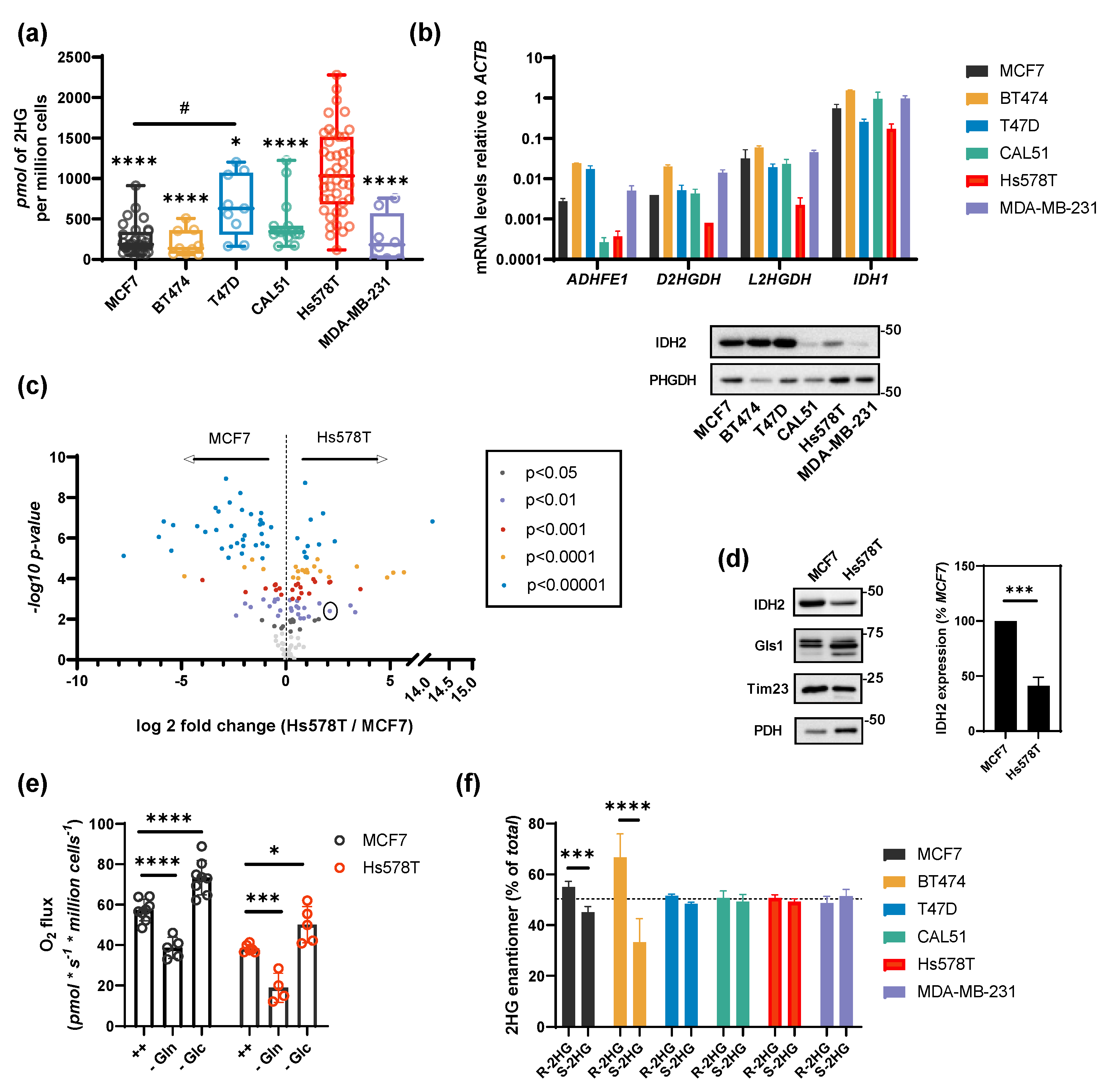 Cancers 13 01709 g001