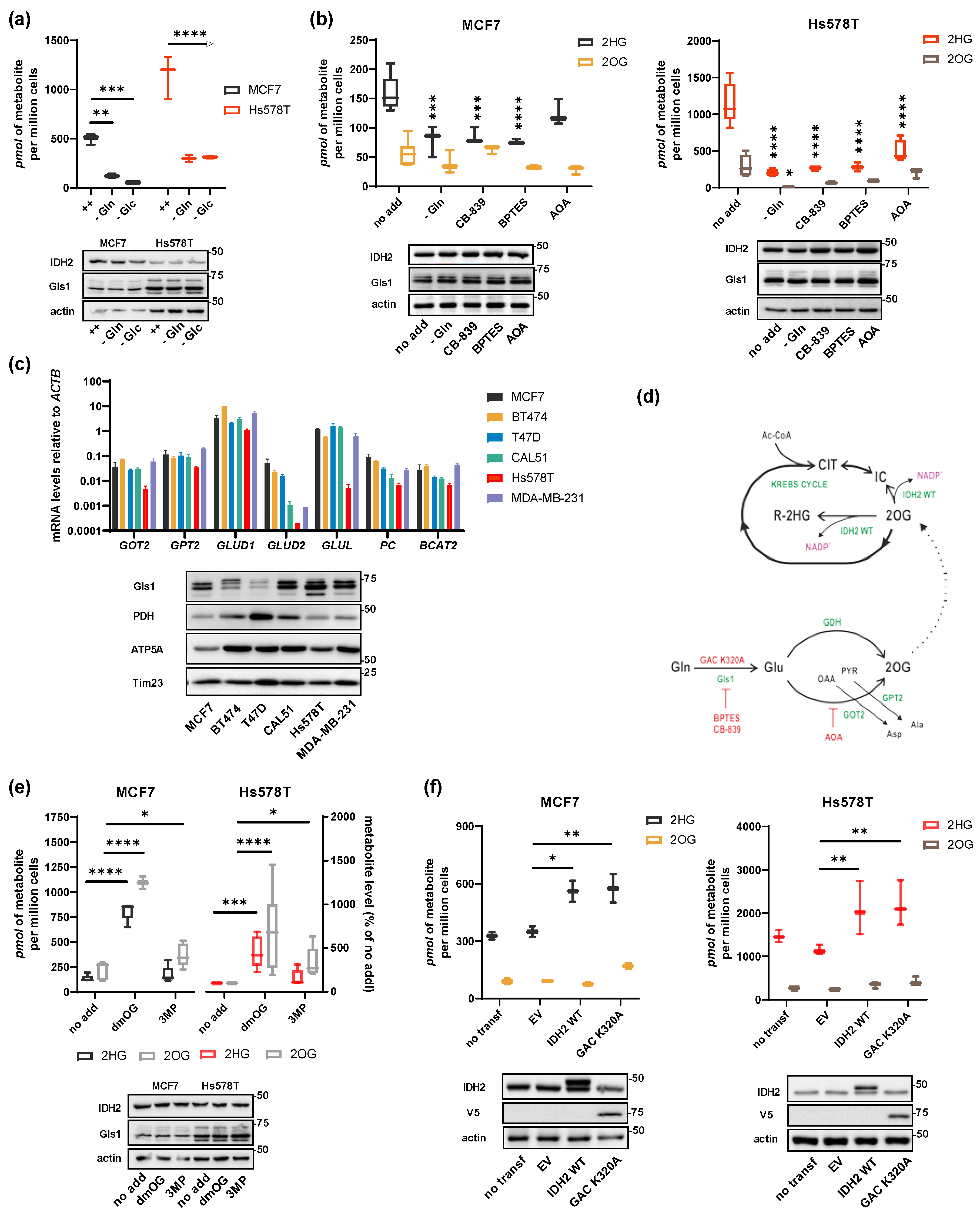 Cancers 13 01709 g002