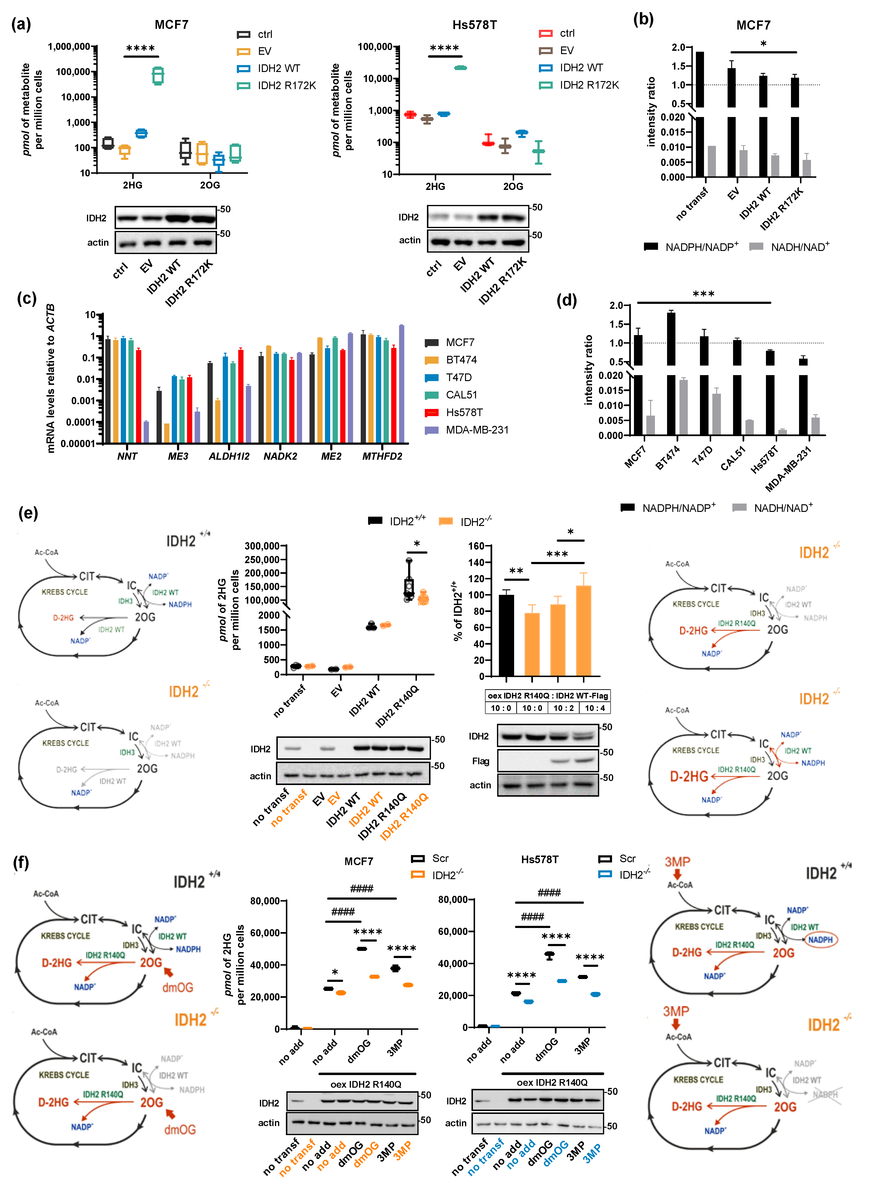 Cancers 13 01709 g004