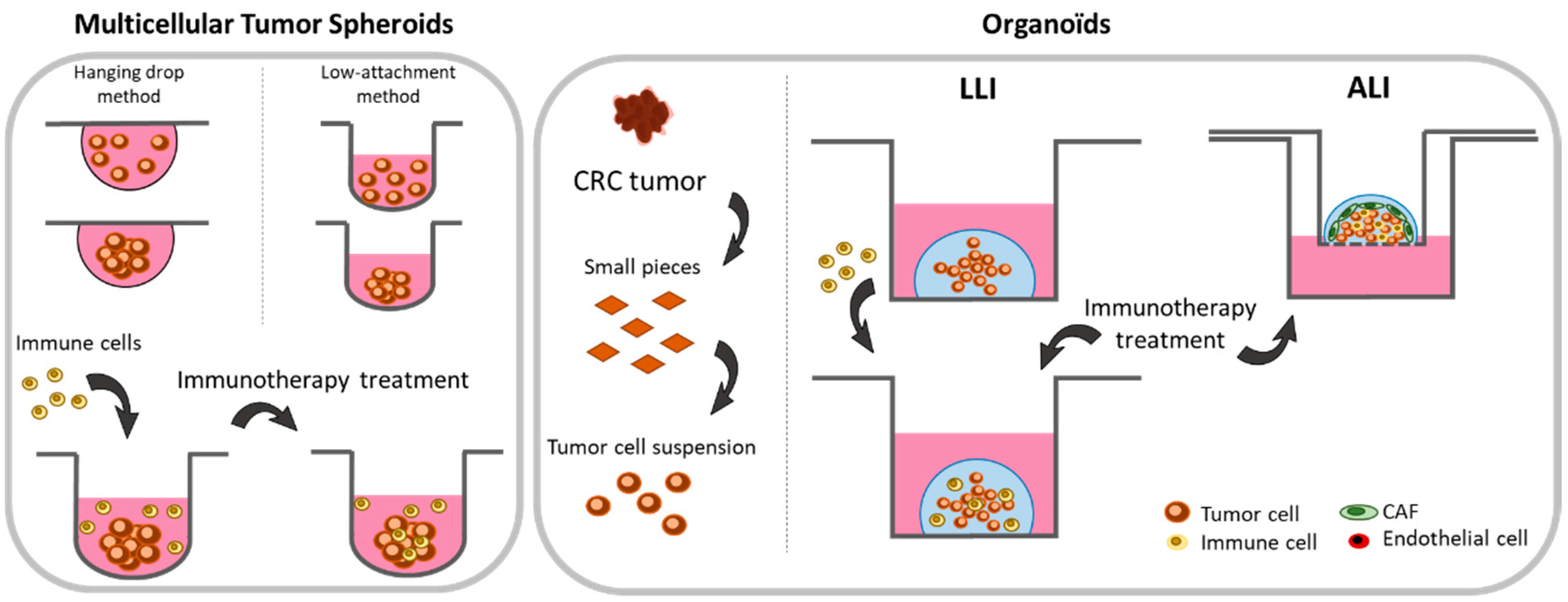 Cancers 13 01713 g002