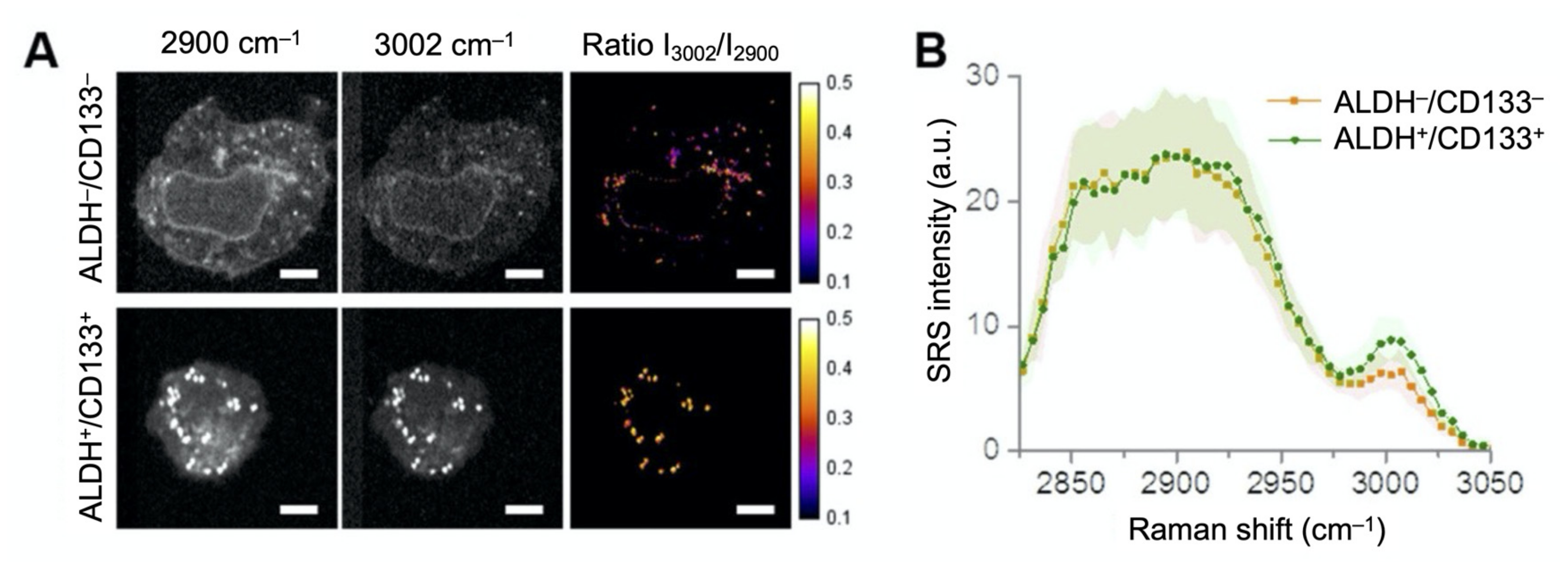 Cancers 13 01718 g003