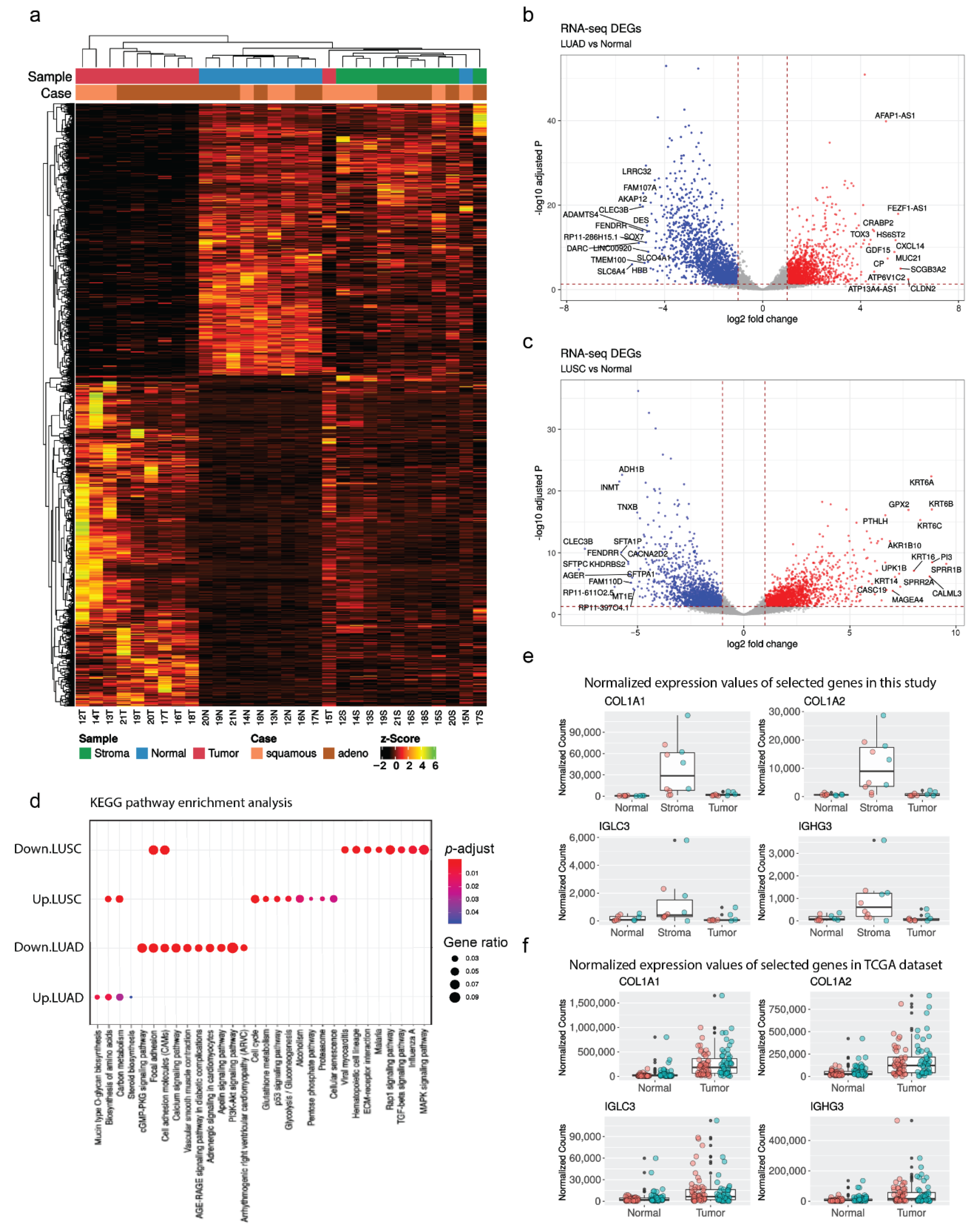 Cancers 13 01719 g002
