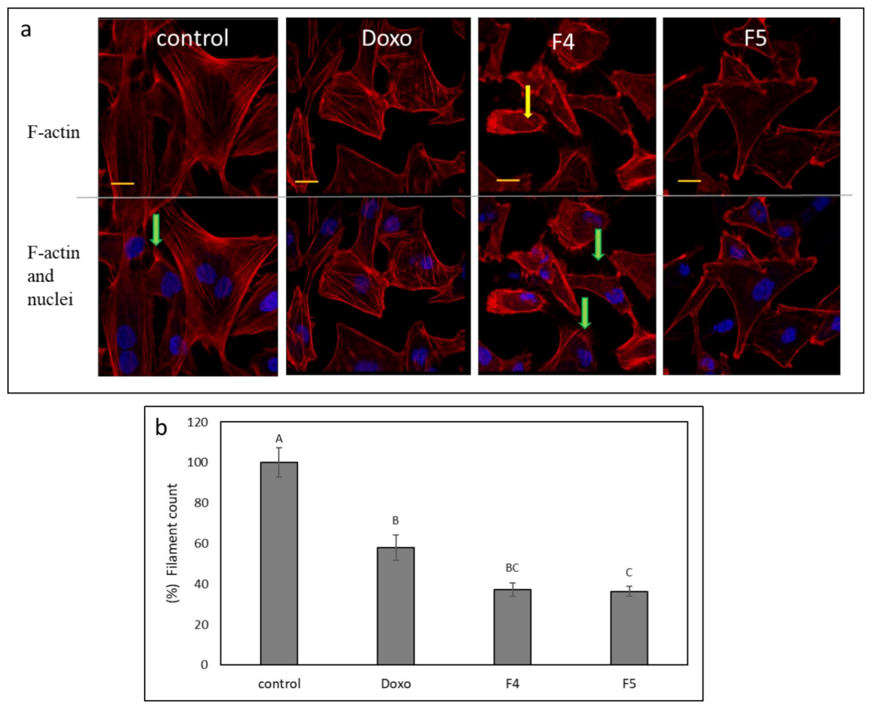 Cancers 13 01720 g008