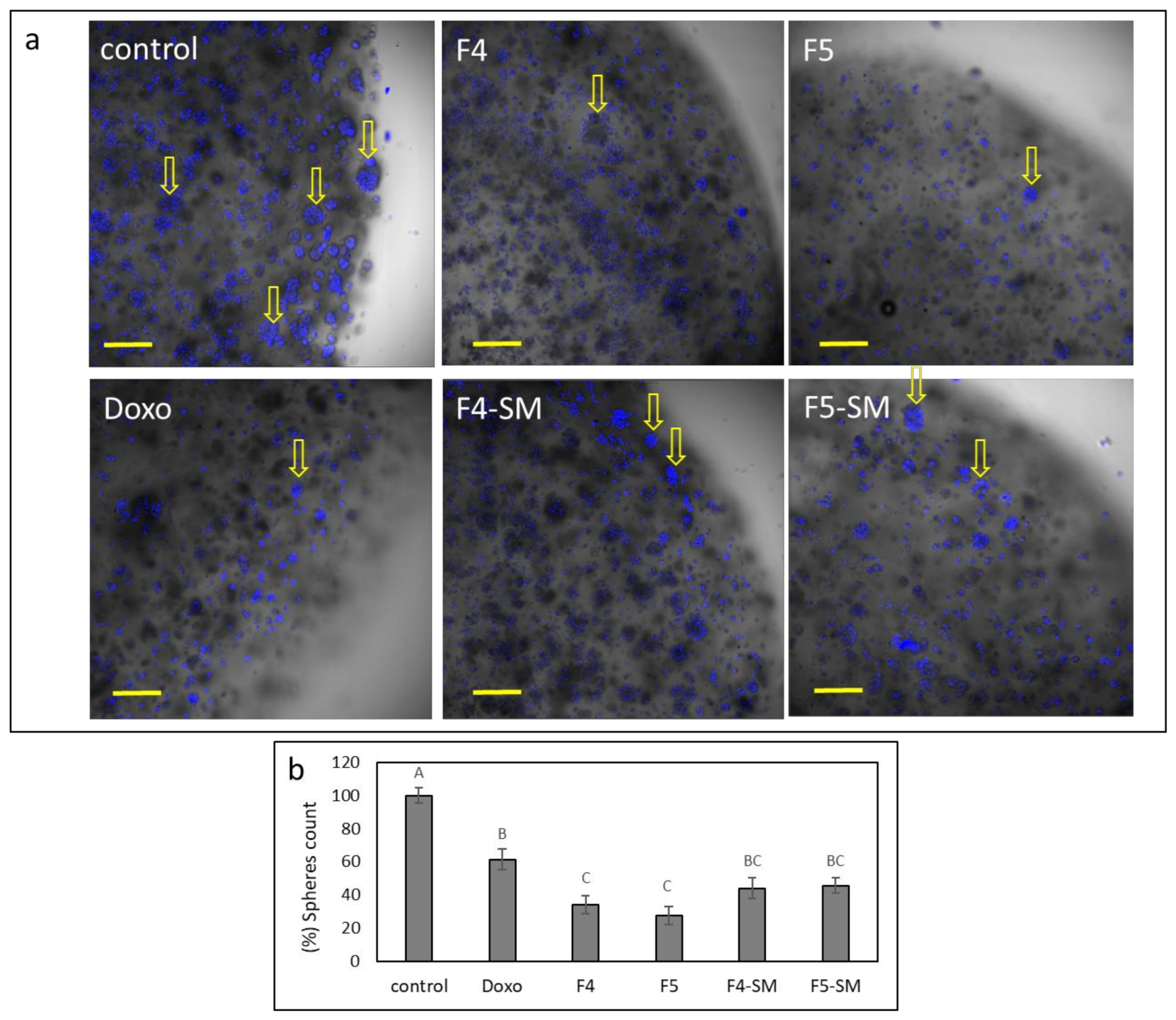Cancers 13 01720 g011