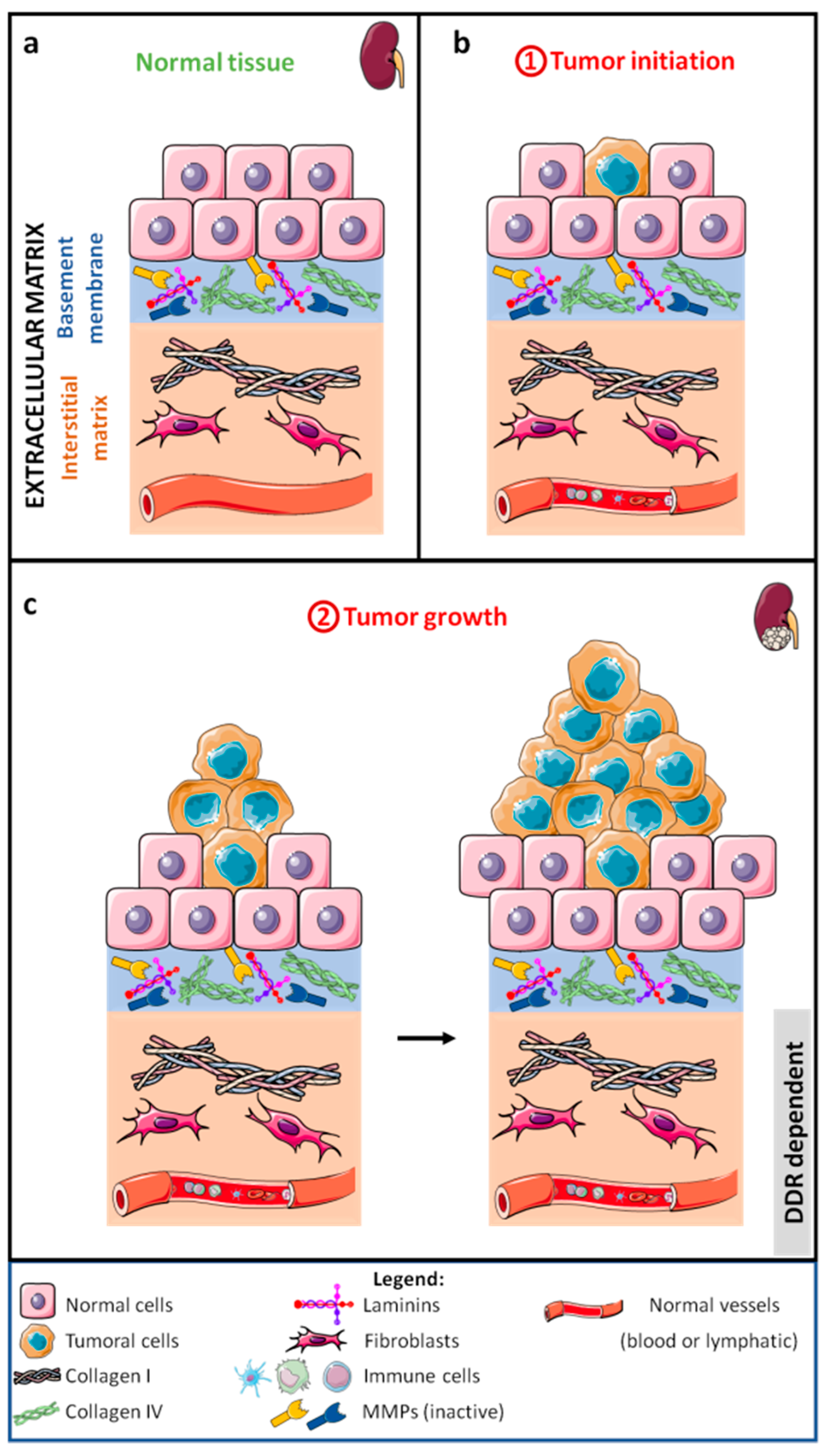 Cancers 13 01725 g001