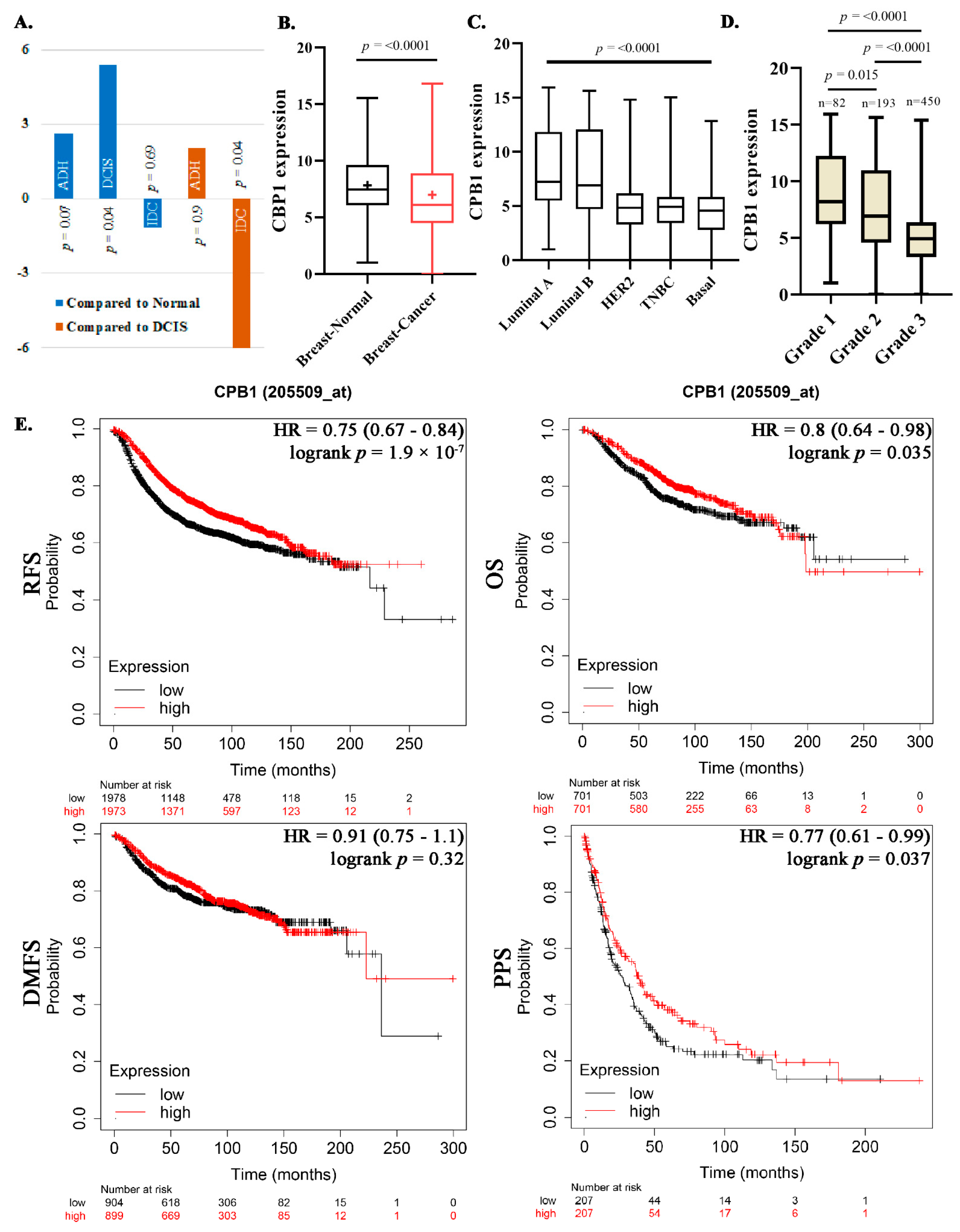 Cancers 13 01726 g001
