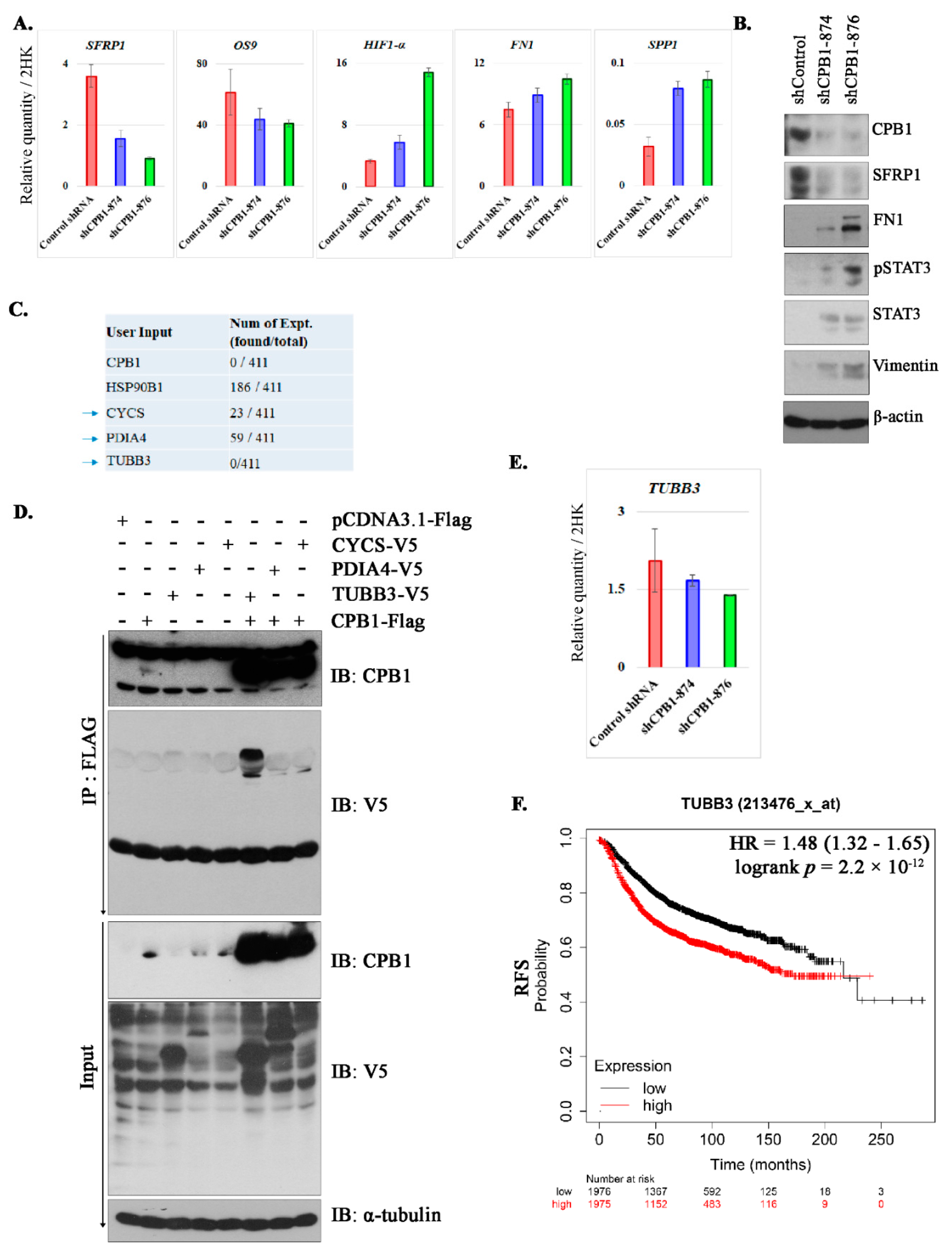 Cancers 13 01726 g004