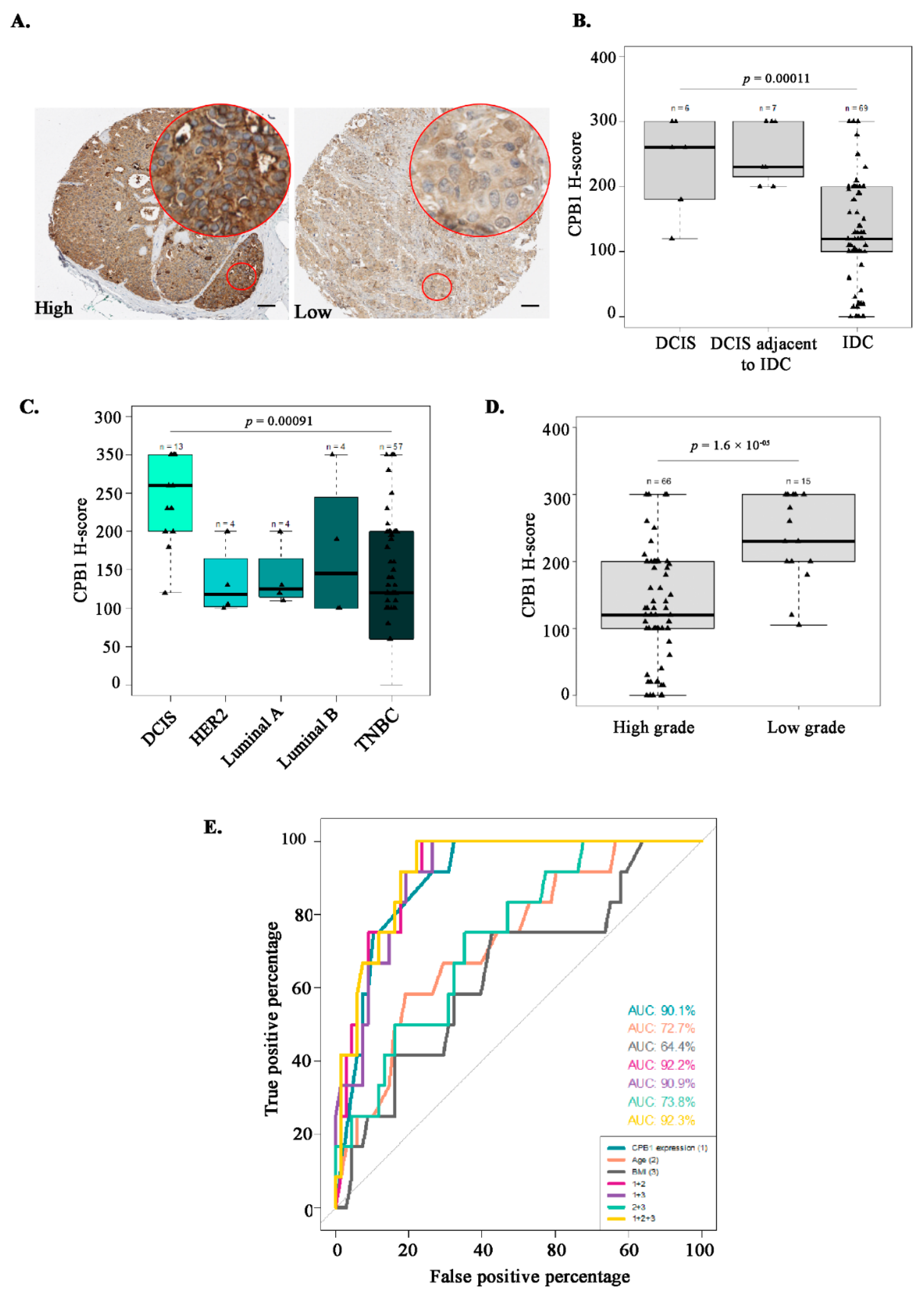 Cancers 13 01726 g005