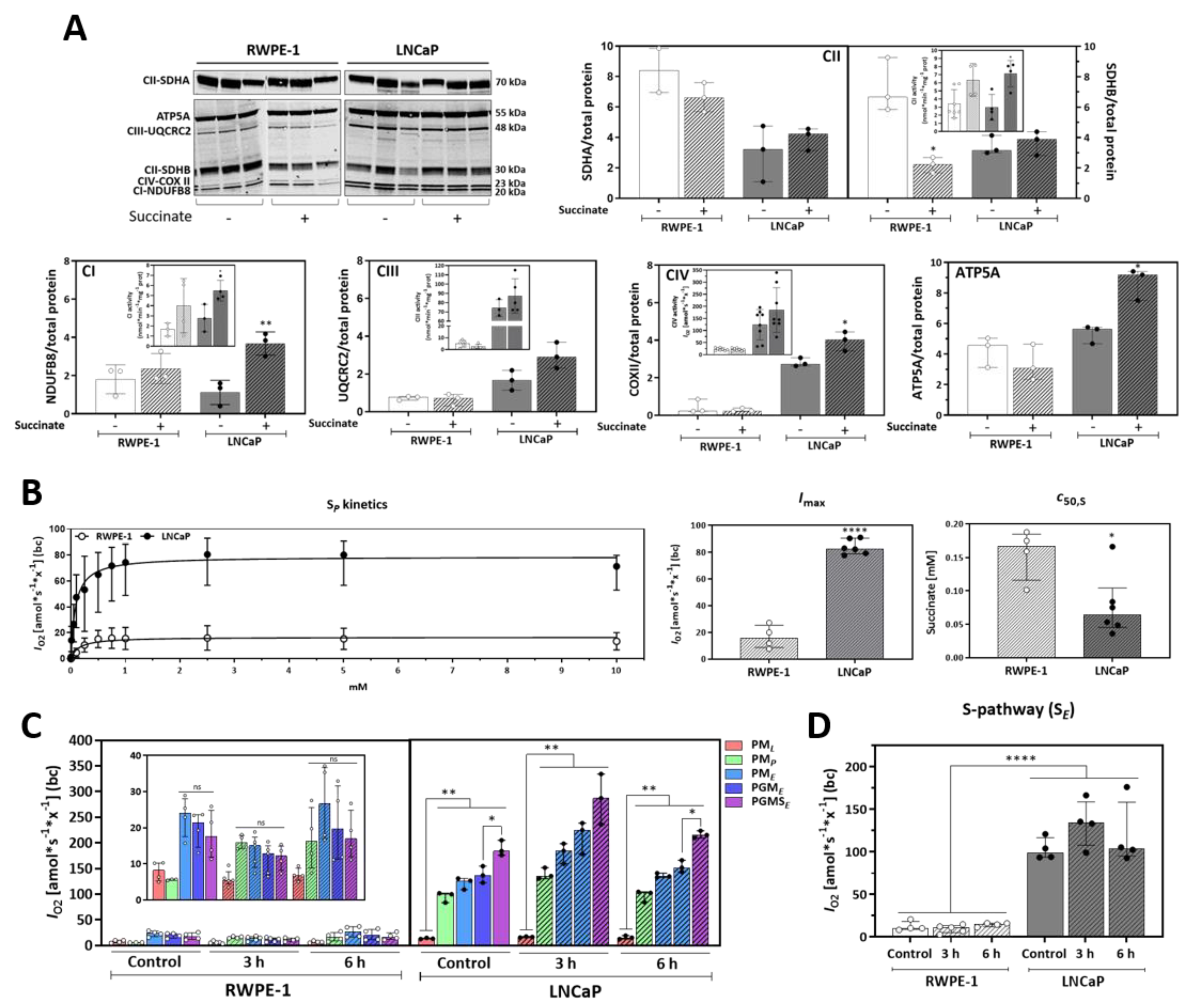 Cancers 13 01727 g004