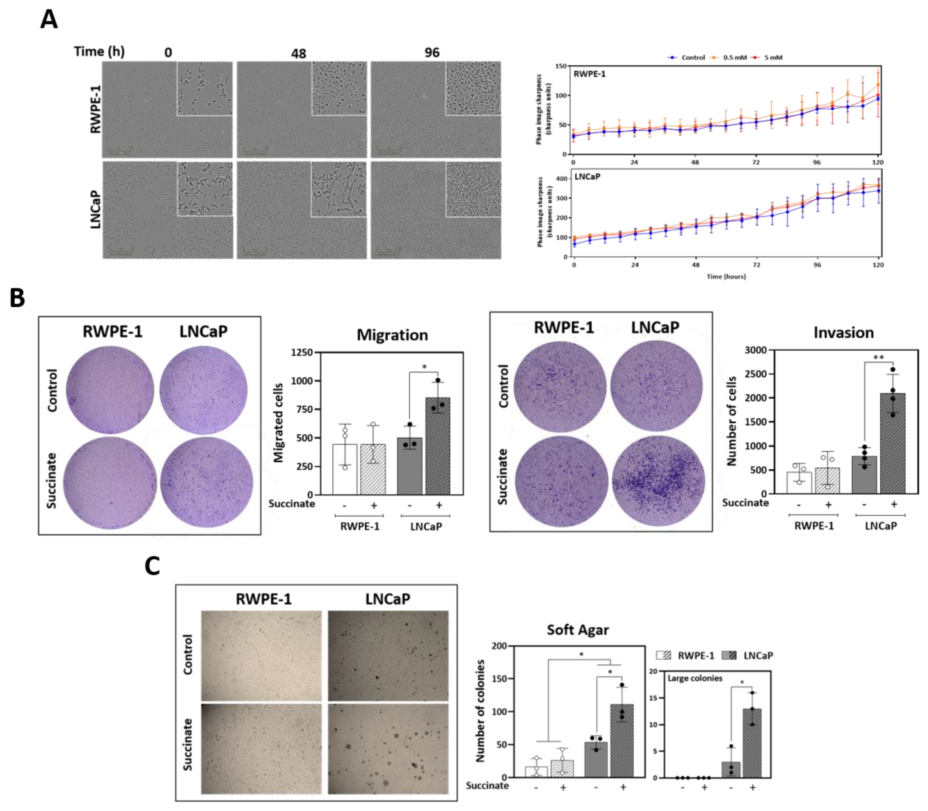 Cancers 13 01727 g005