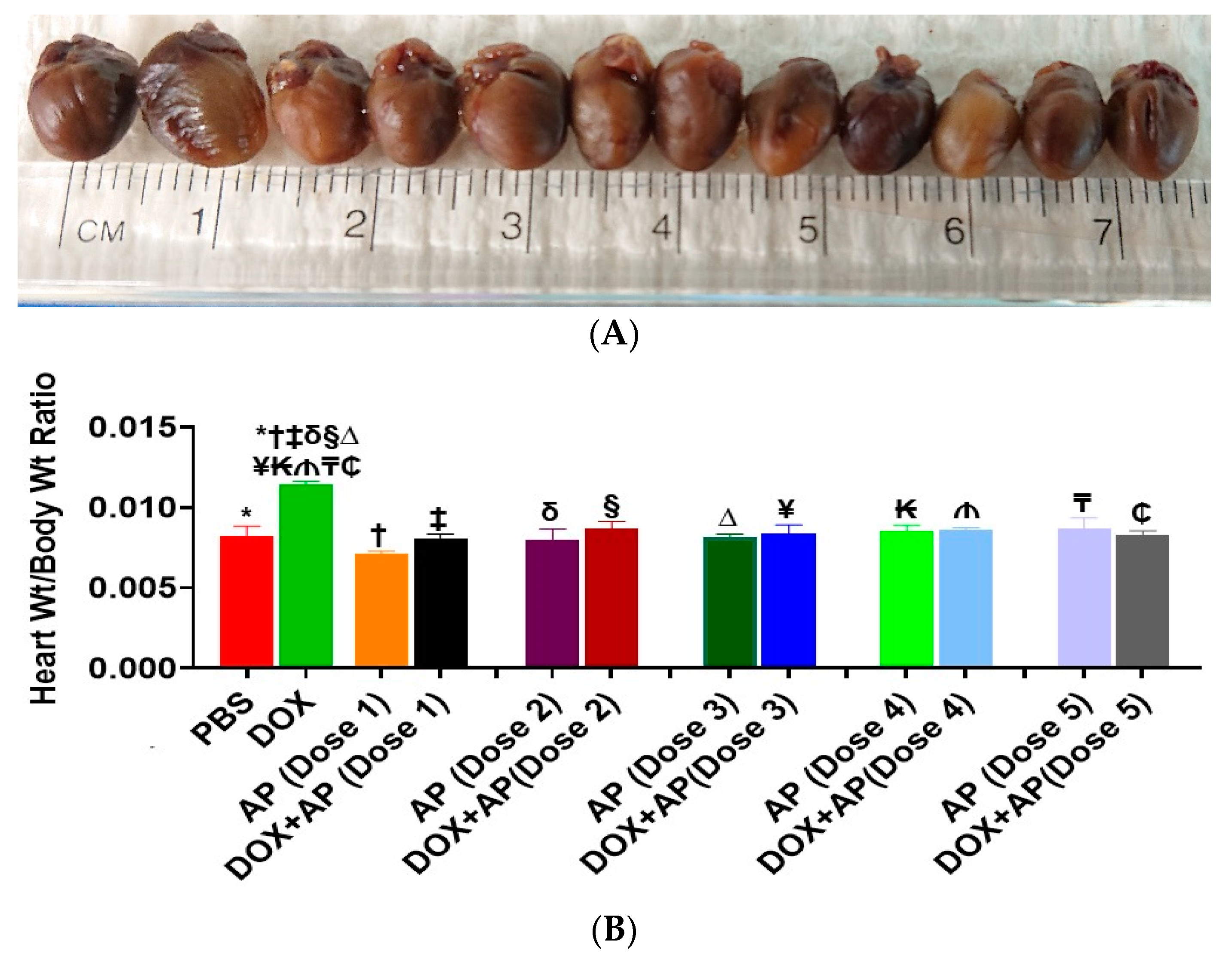 Cancers 13 01732 g002