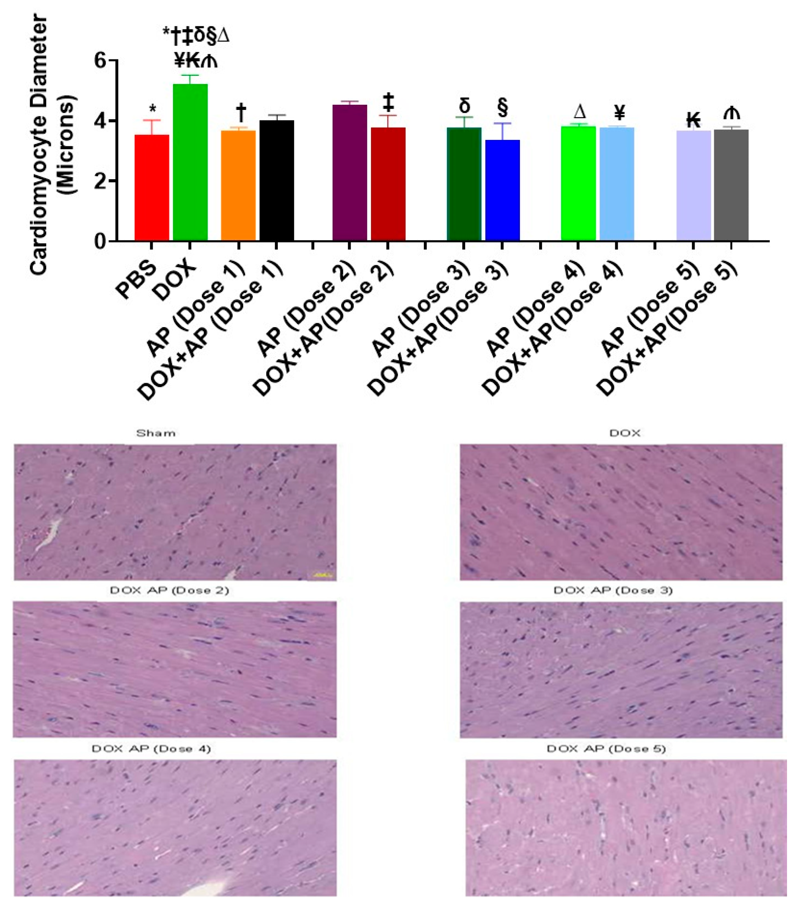 Cancers 13 01732 g003