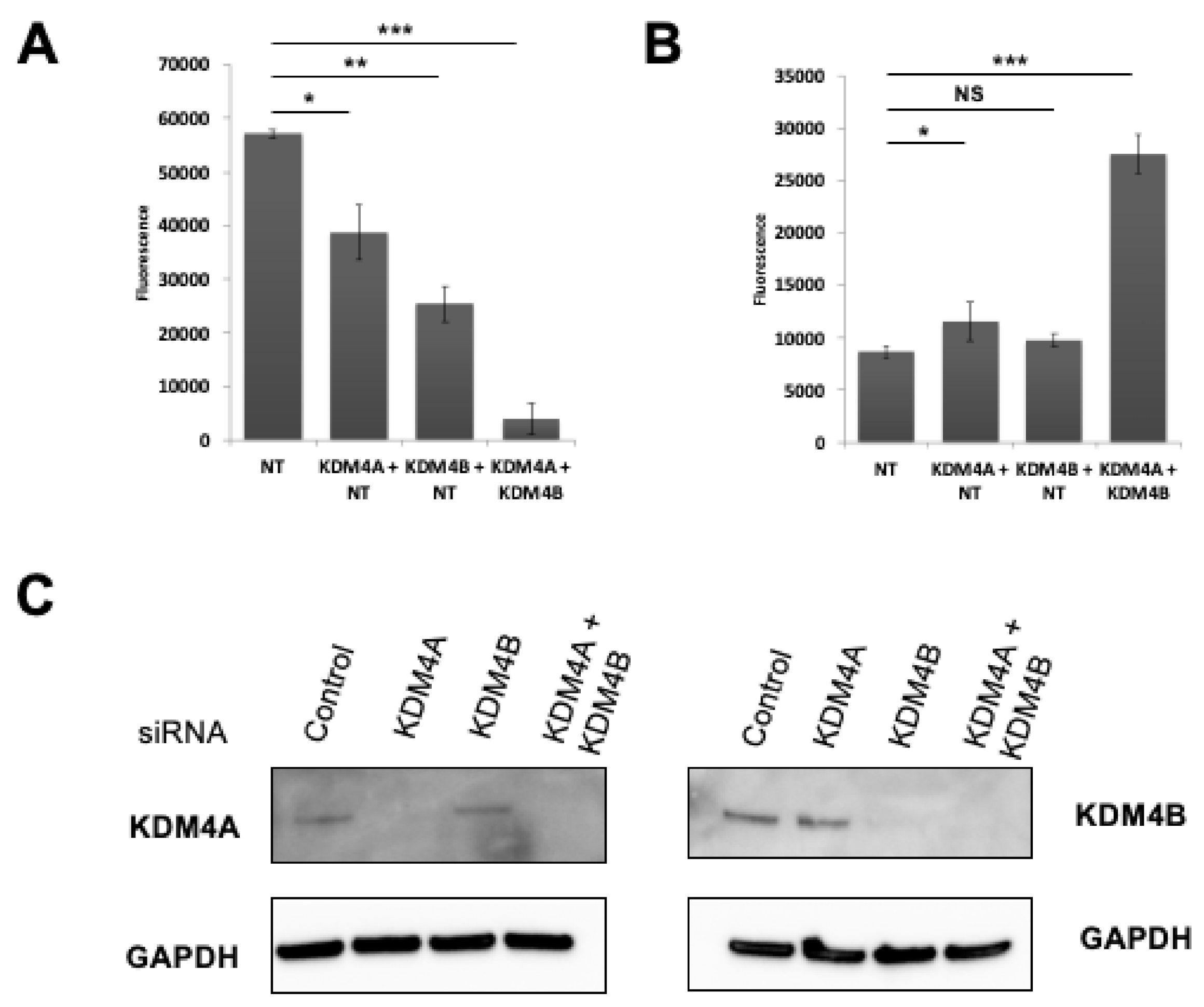 Cancers 13 01734 g006
