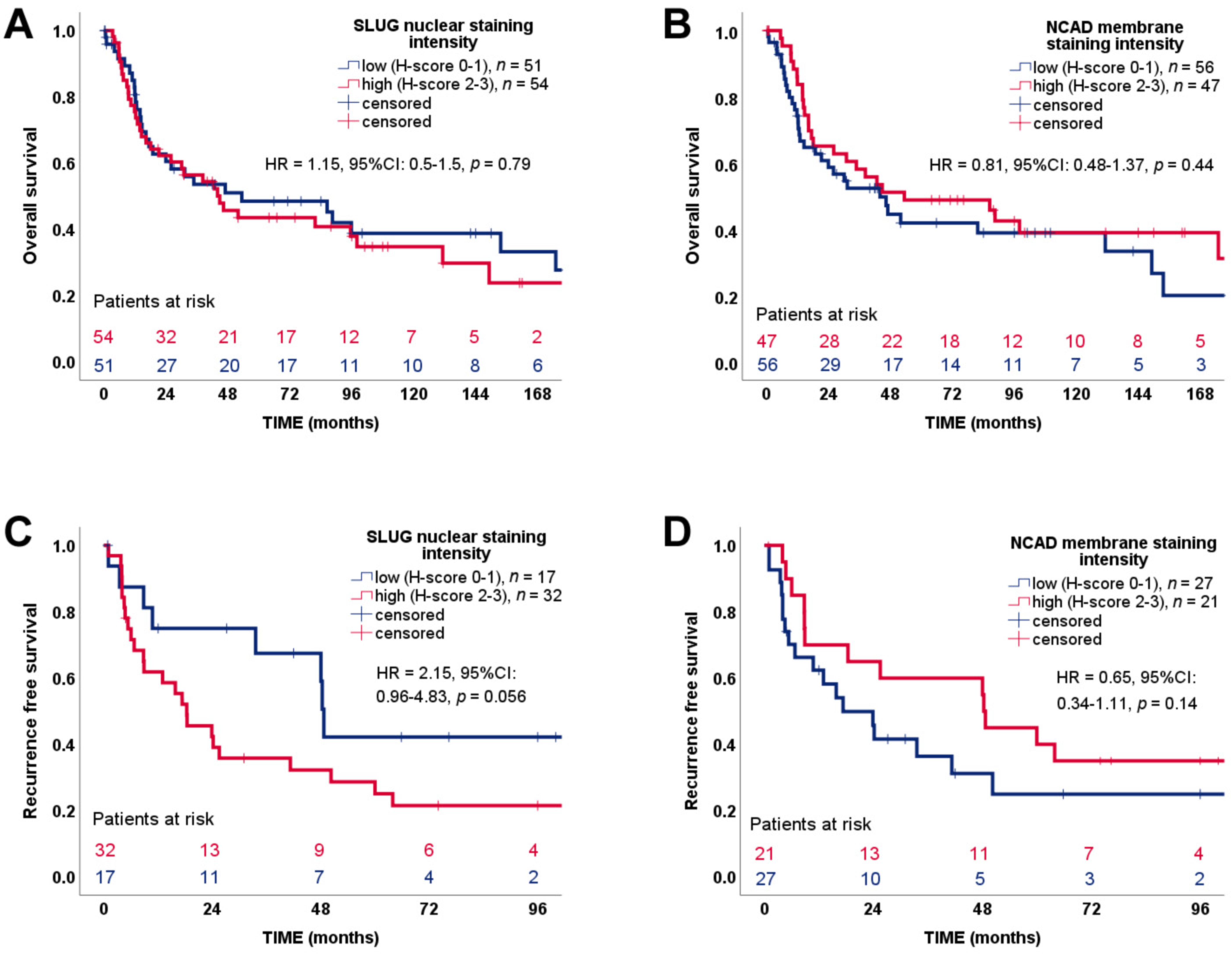 Cancers 13 01736 g006
