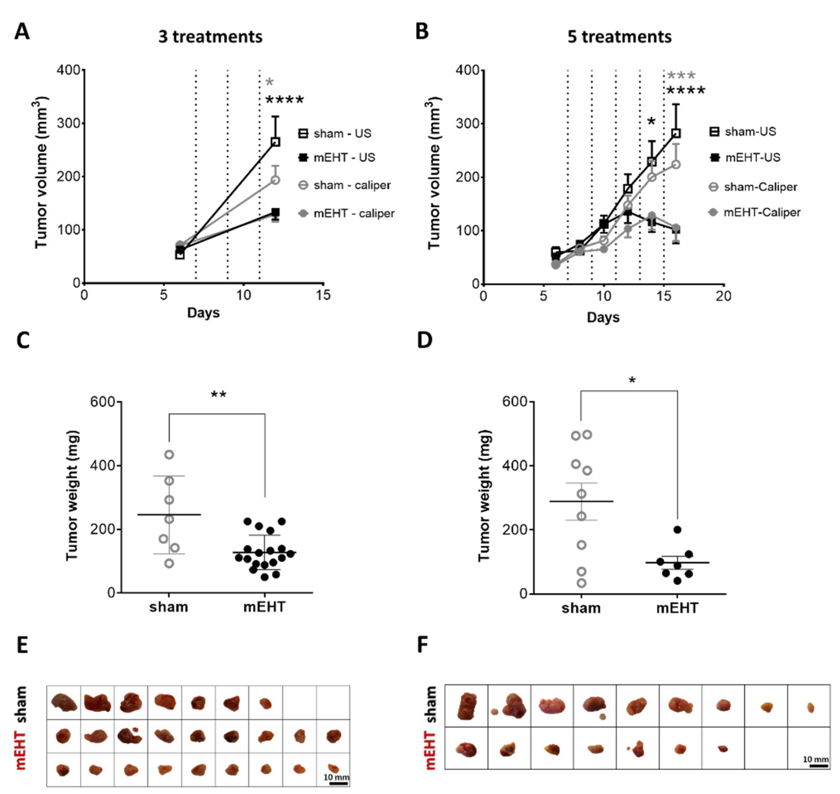 Cancers 13 01744 g001
