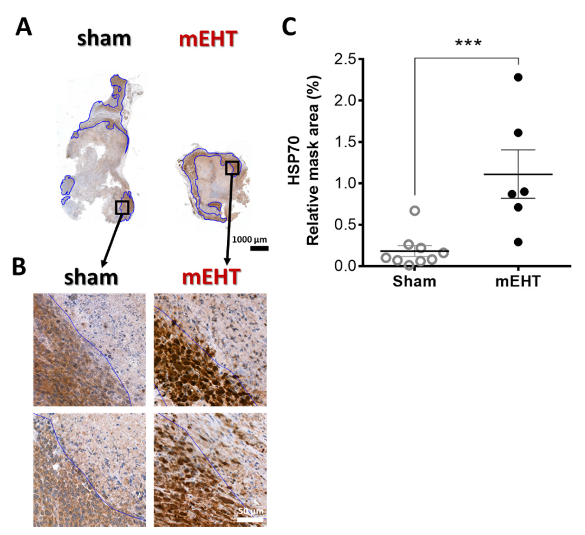 Cancers 13 01744 g003