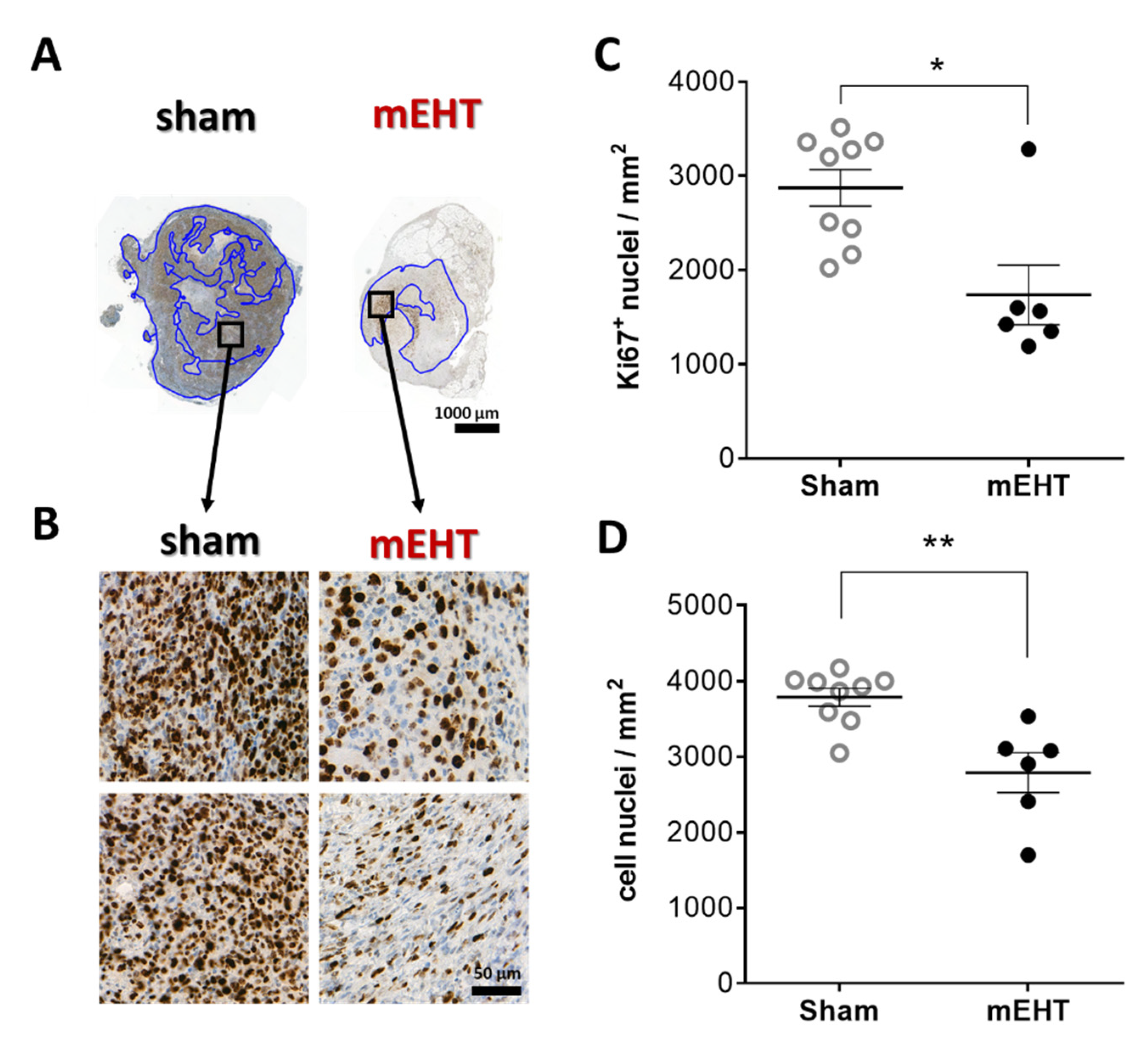 Cancers 13 01744 g004