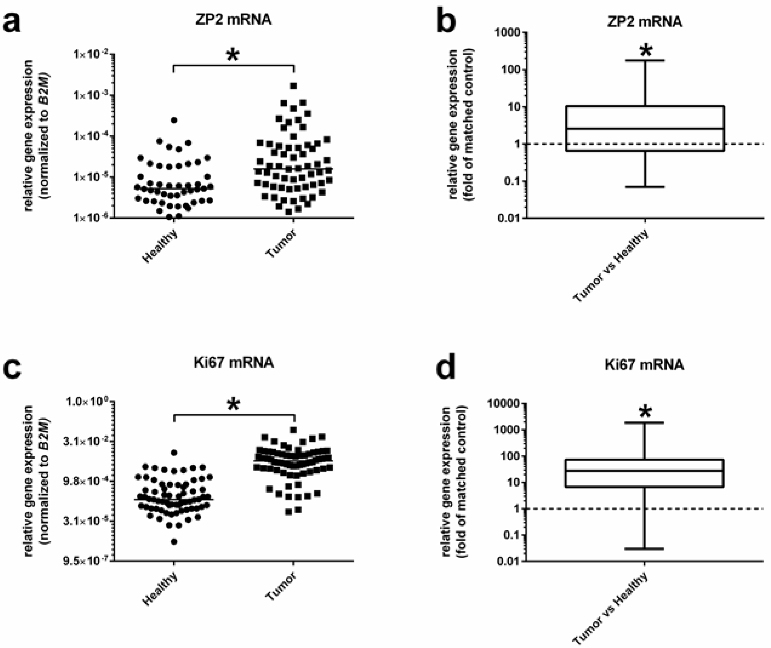 Cancers 13 01759 g002