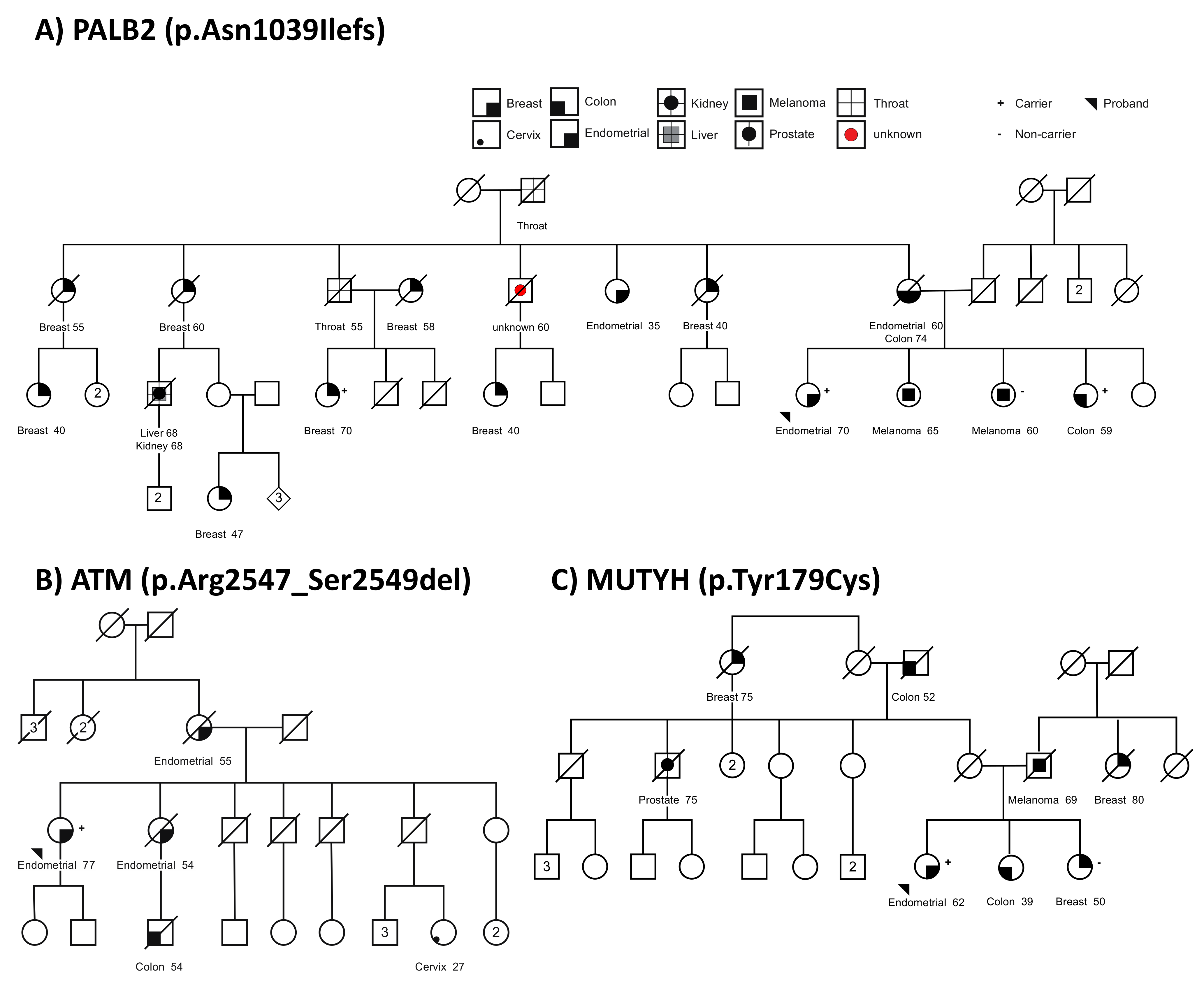 Cancers 13 01762 g002