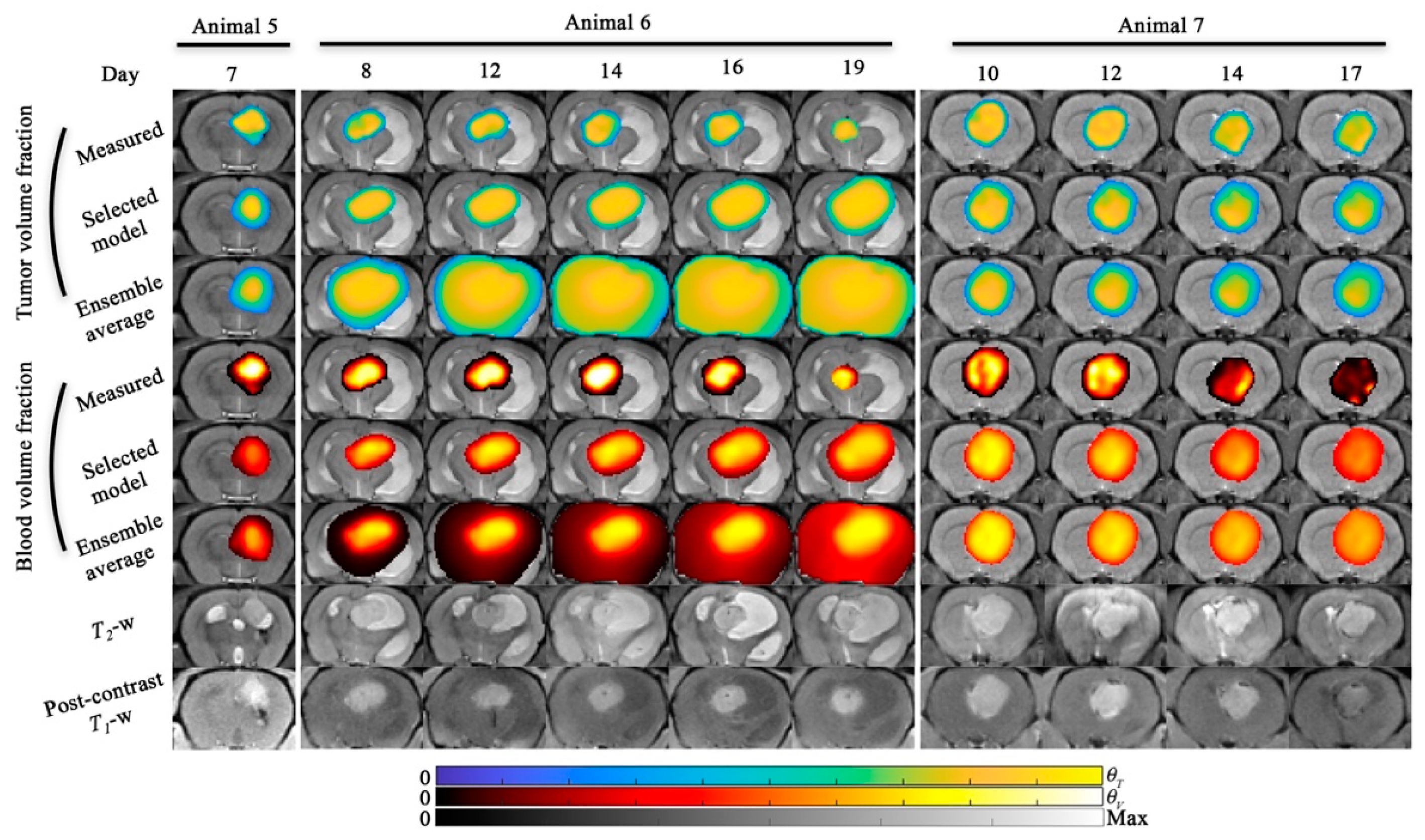 Cancers 13 01765 g007