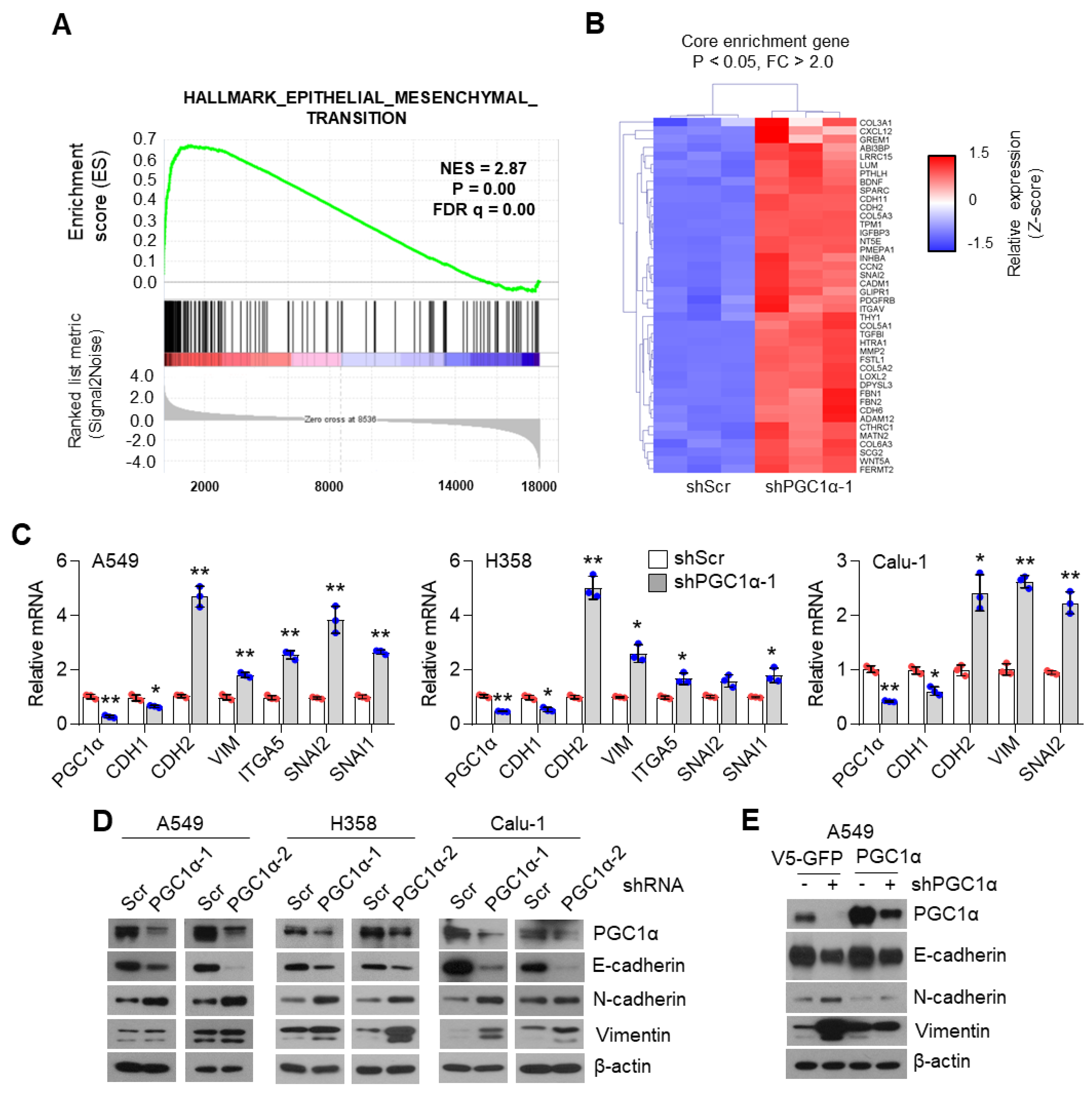 Cancers 13 01772 g001a