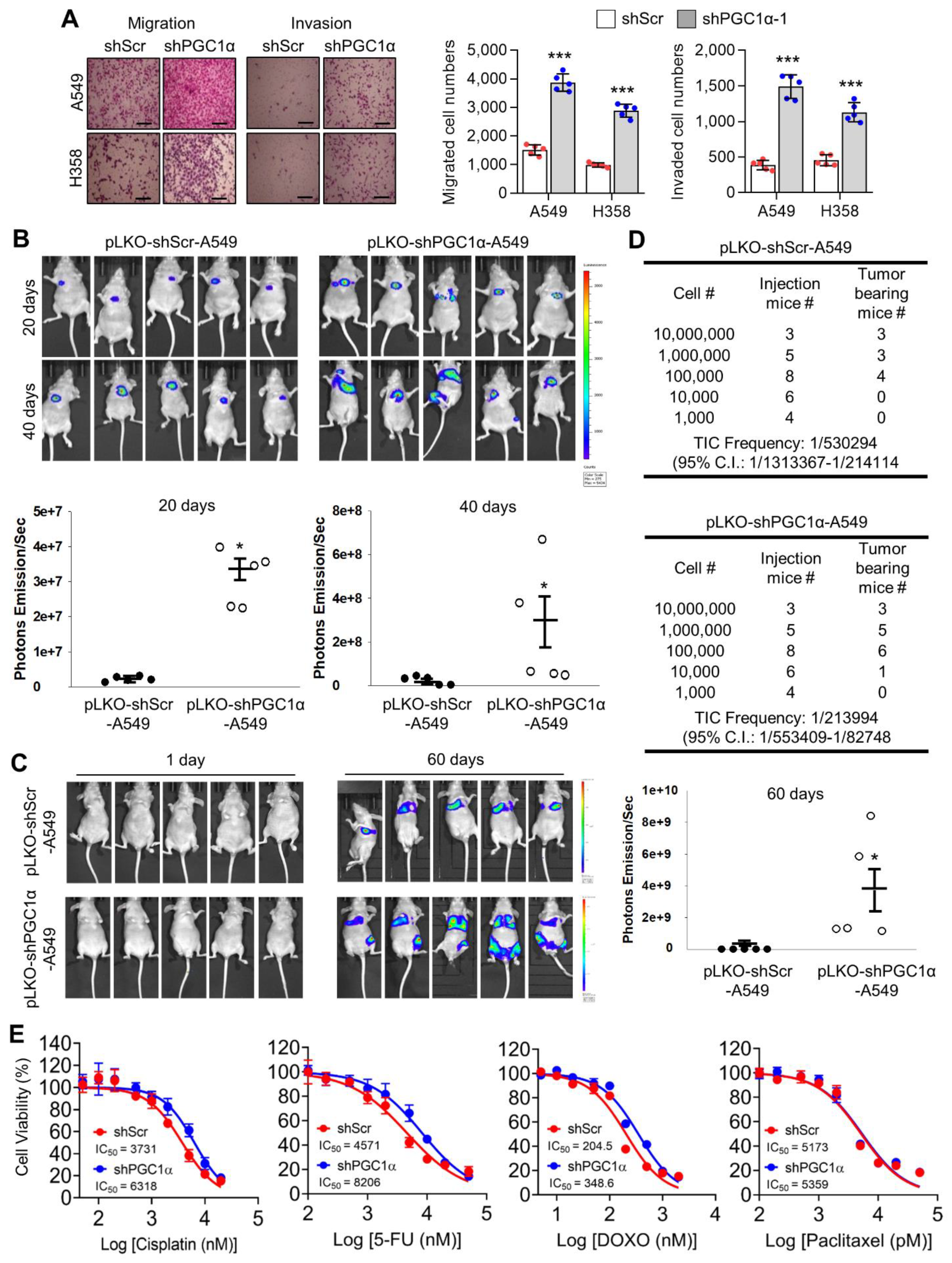 Cancers 13 01772 g002