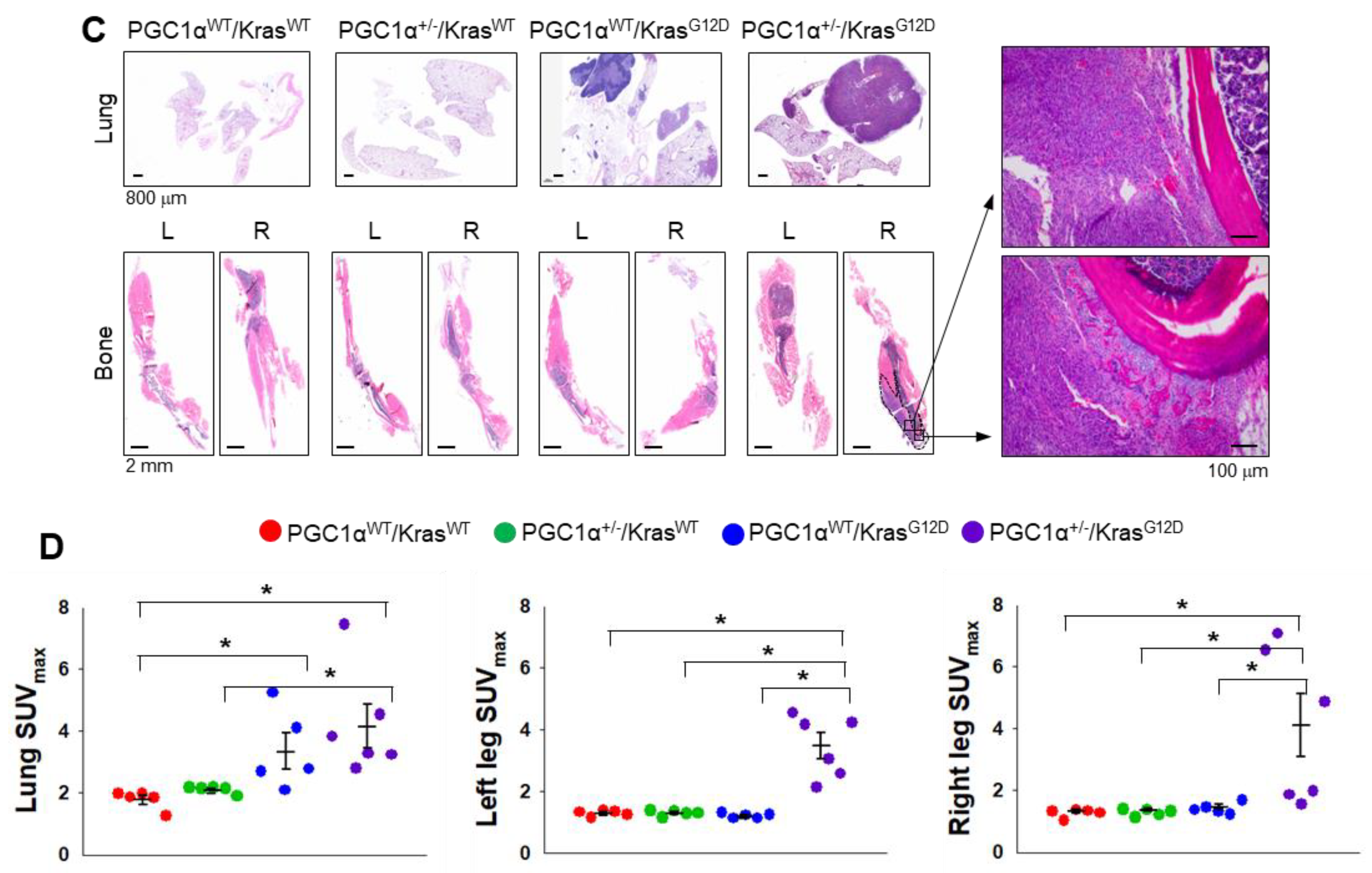 Cancers 13 01772 g003b