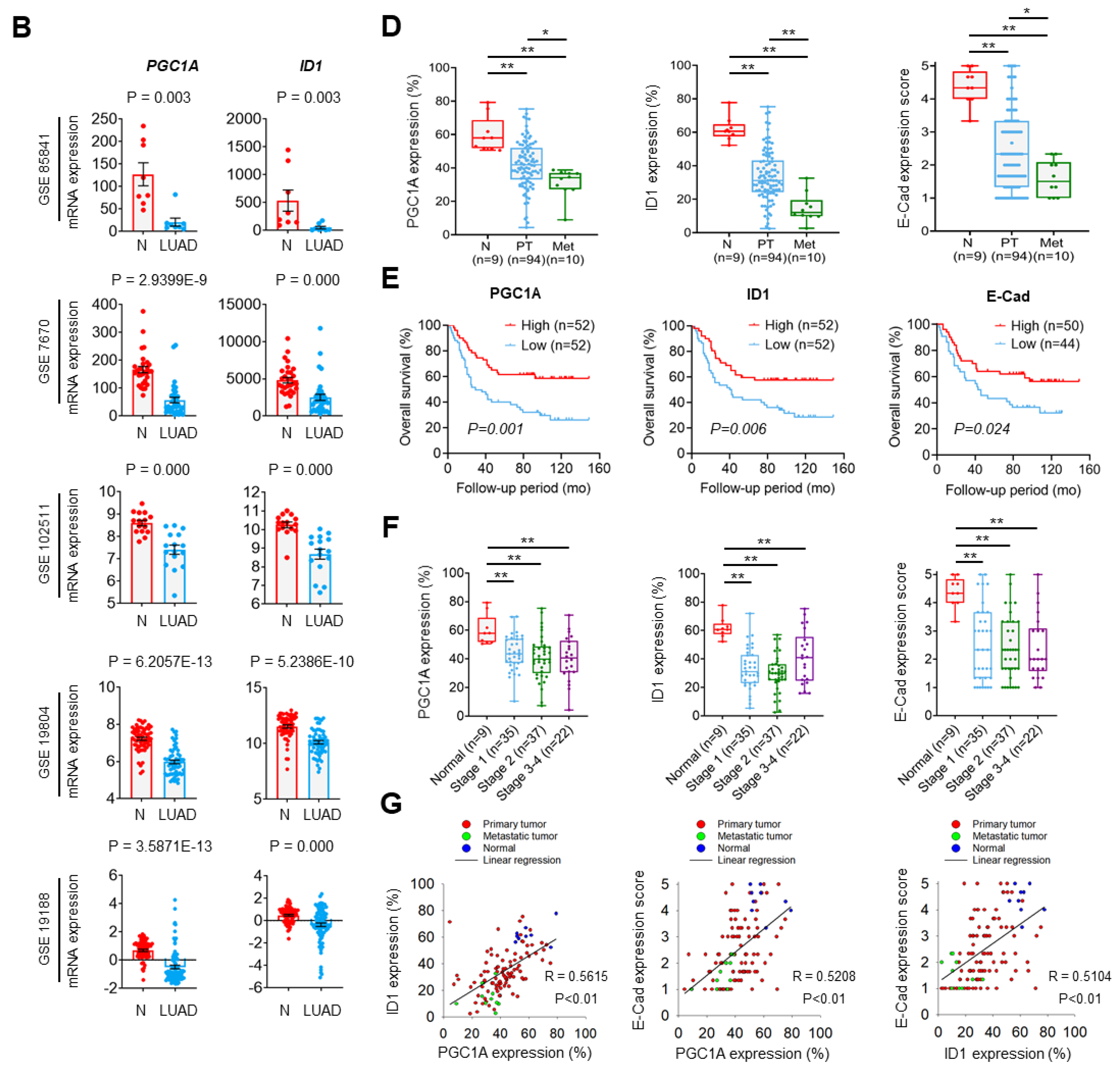 Cancers 13 01772 g005b