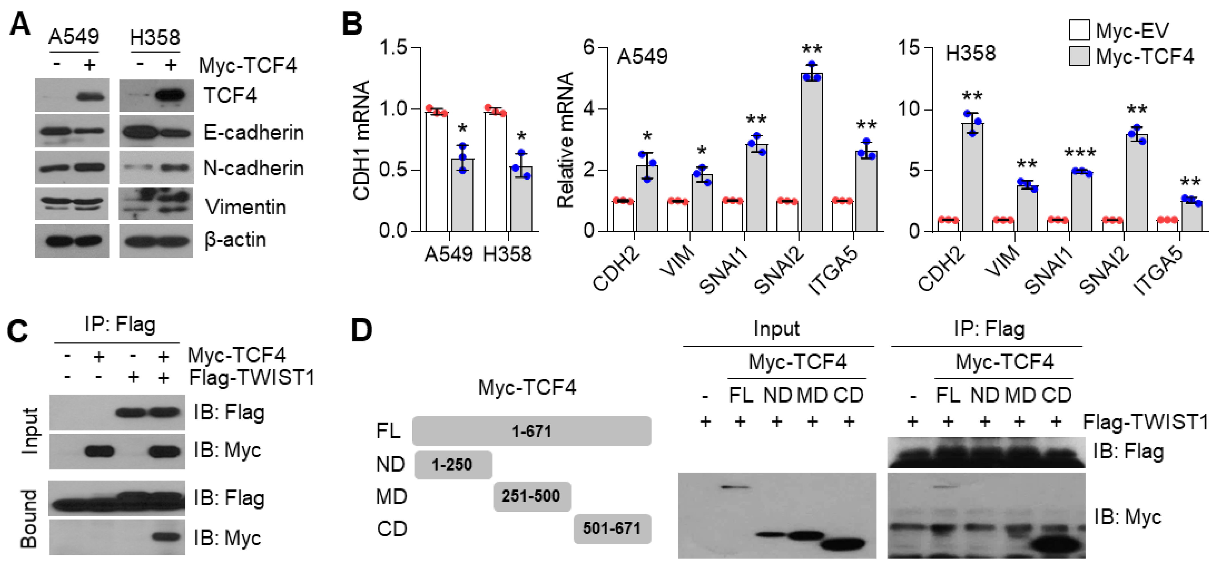 Cancers 13 01772 g006a