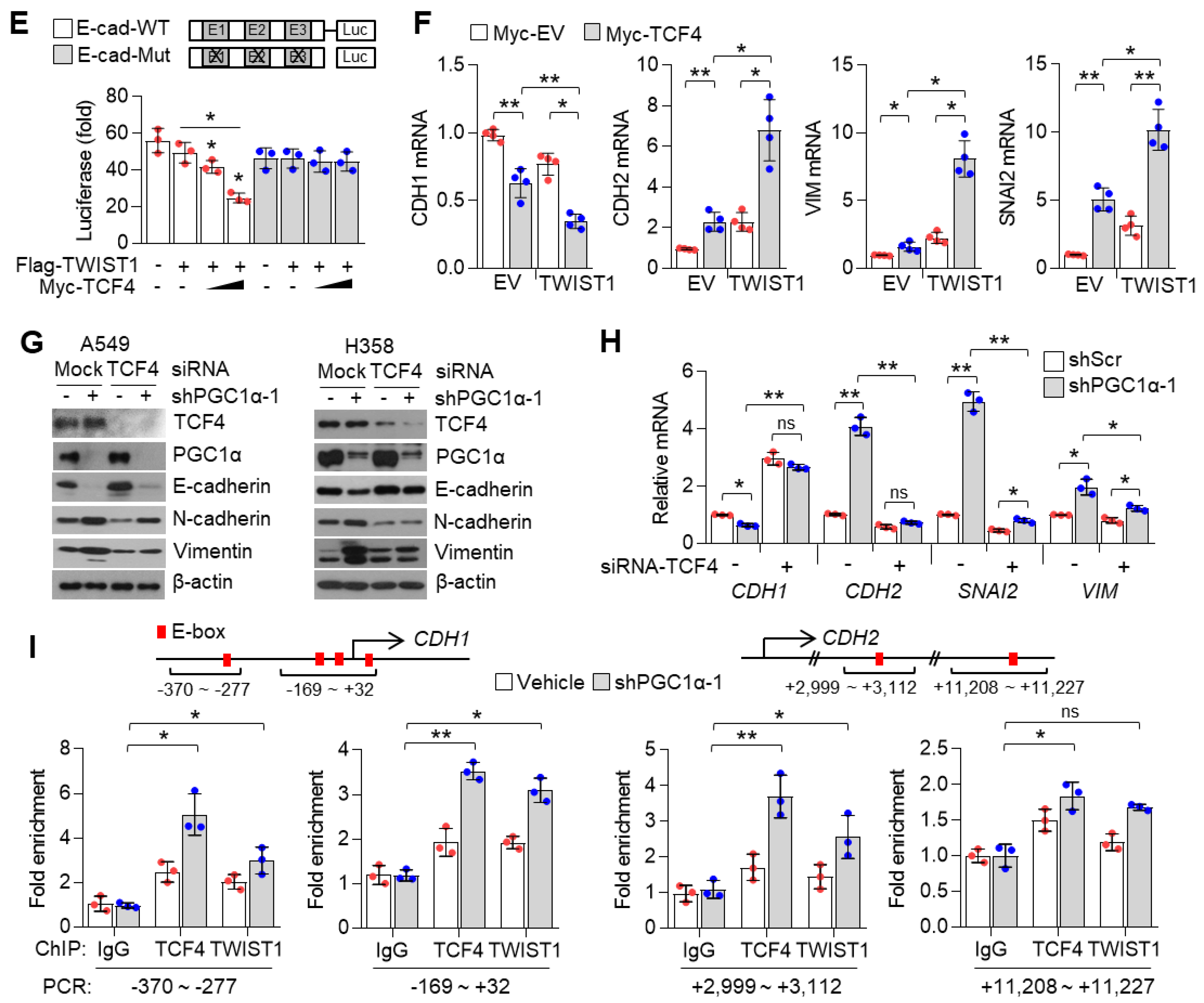 Cancers 13 01772 g006b