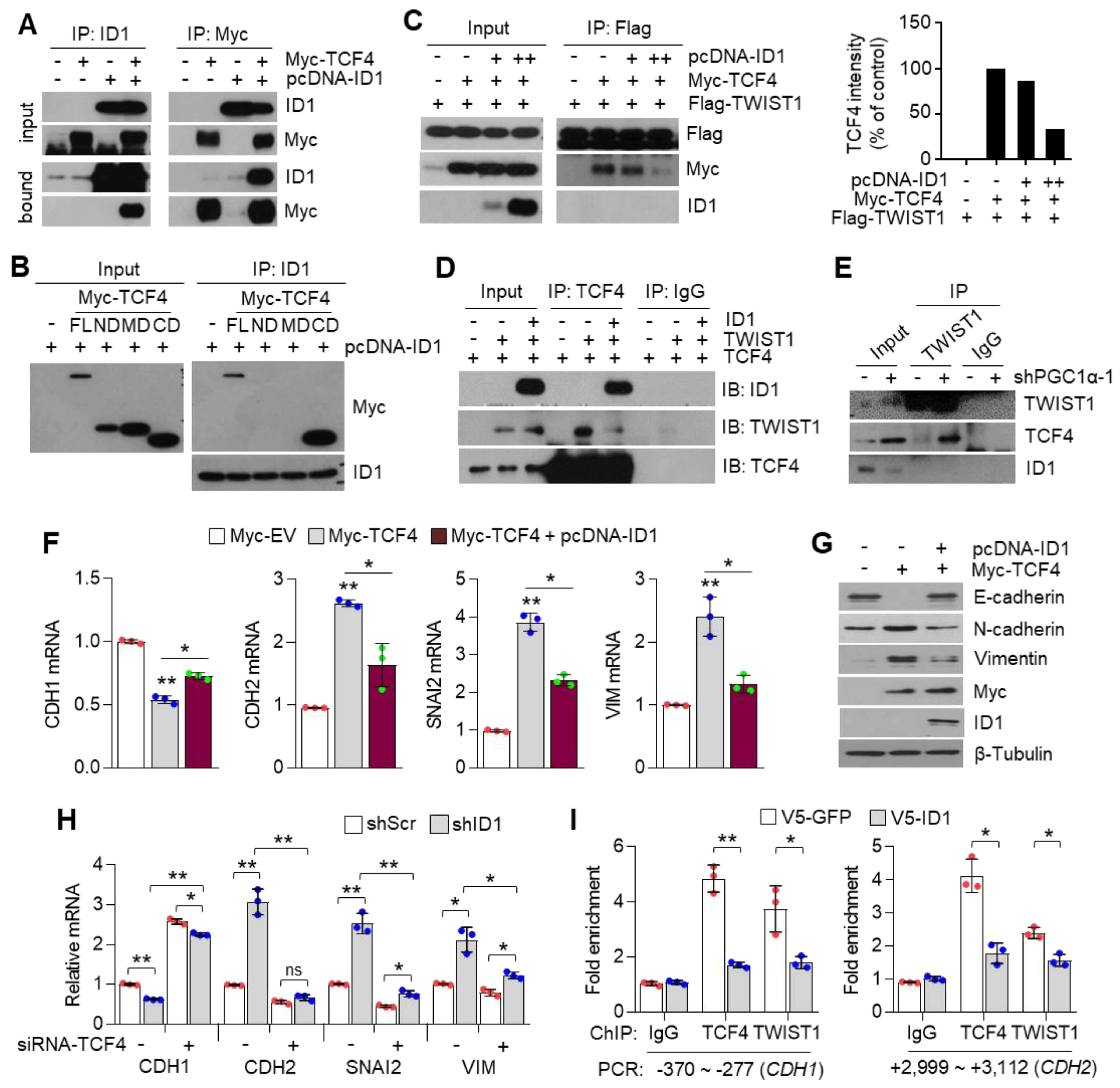 Cancers 13 01772 g007a