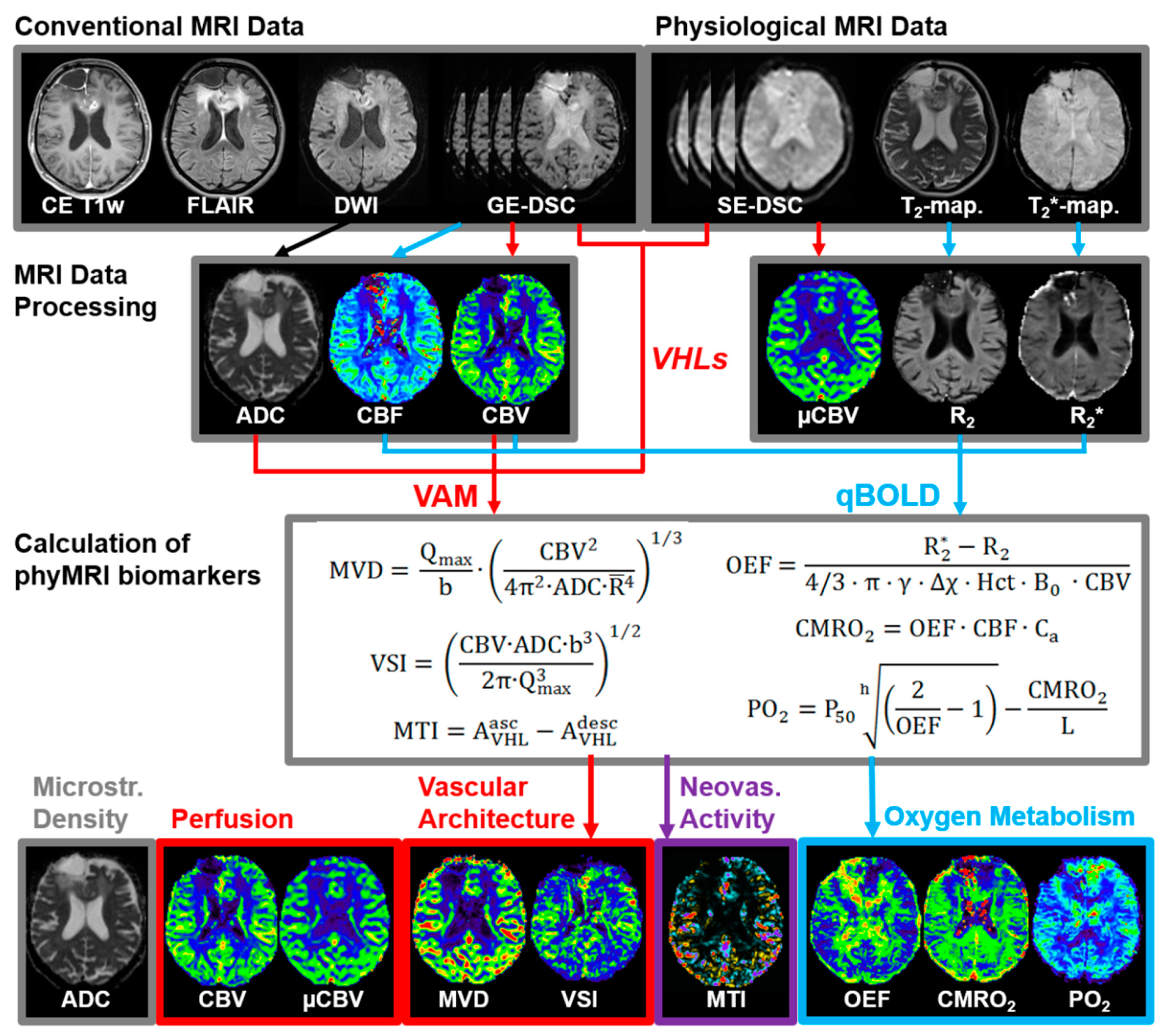Cancers 13 01797 g001