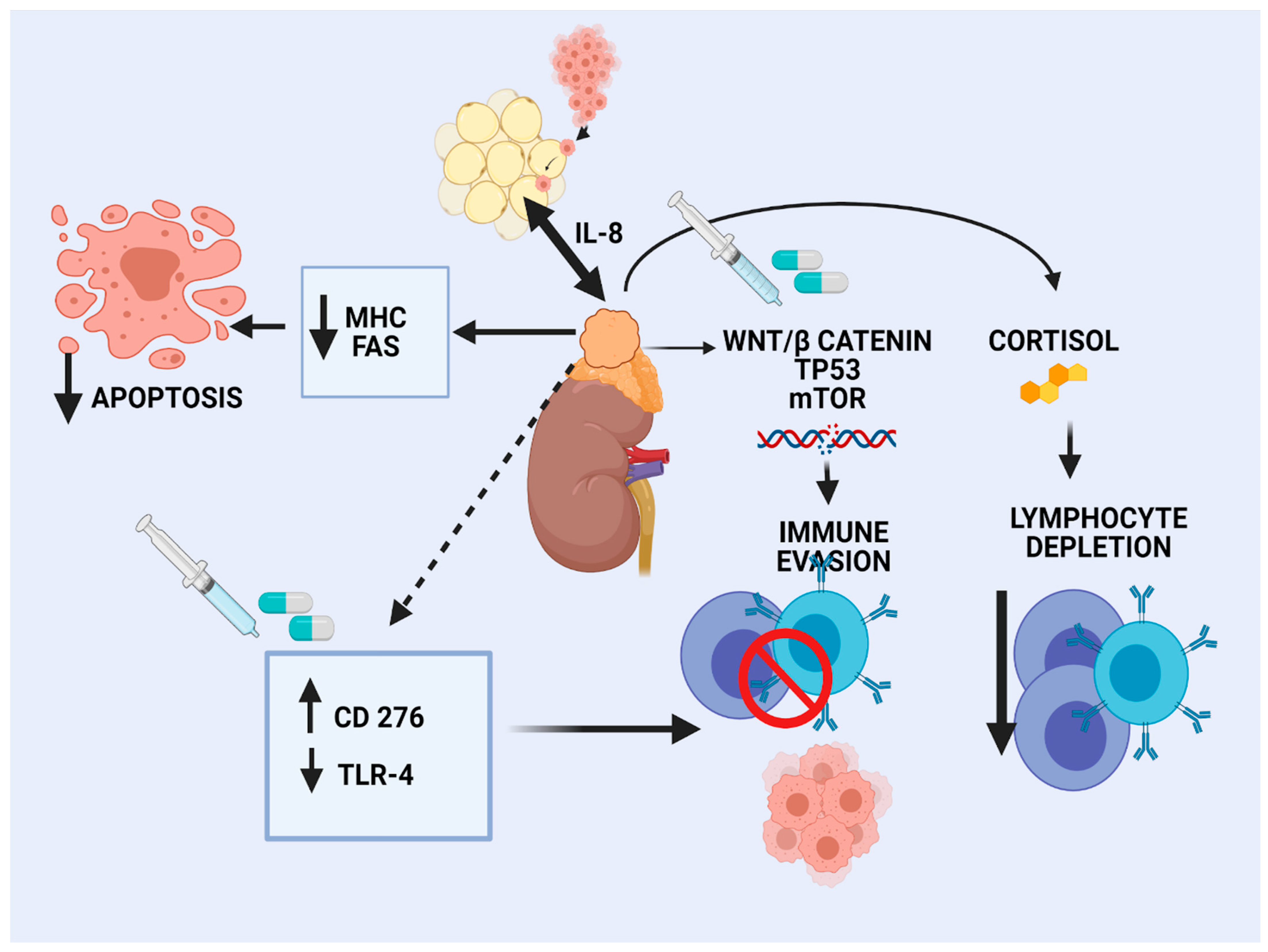 Cancers 13 01798 g001