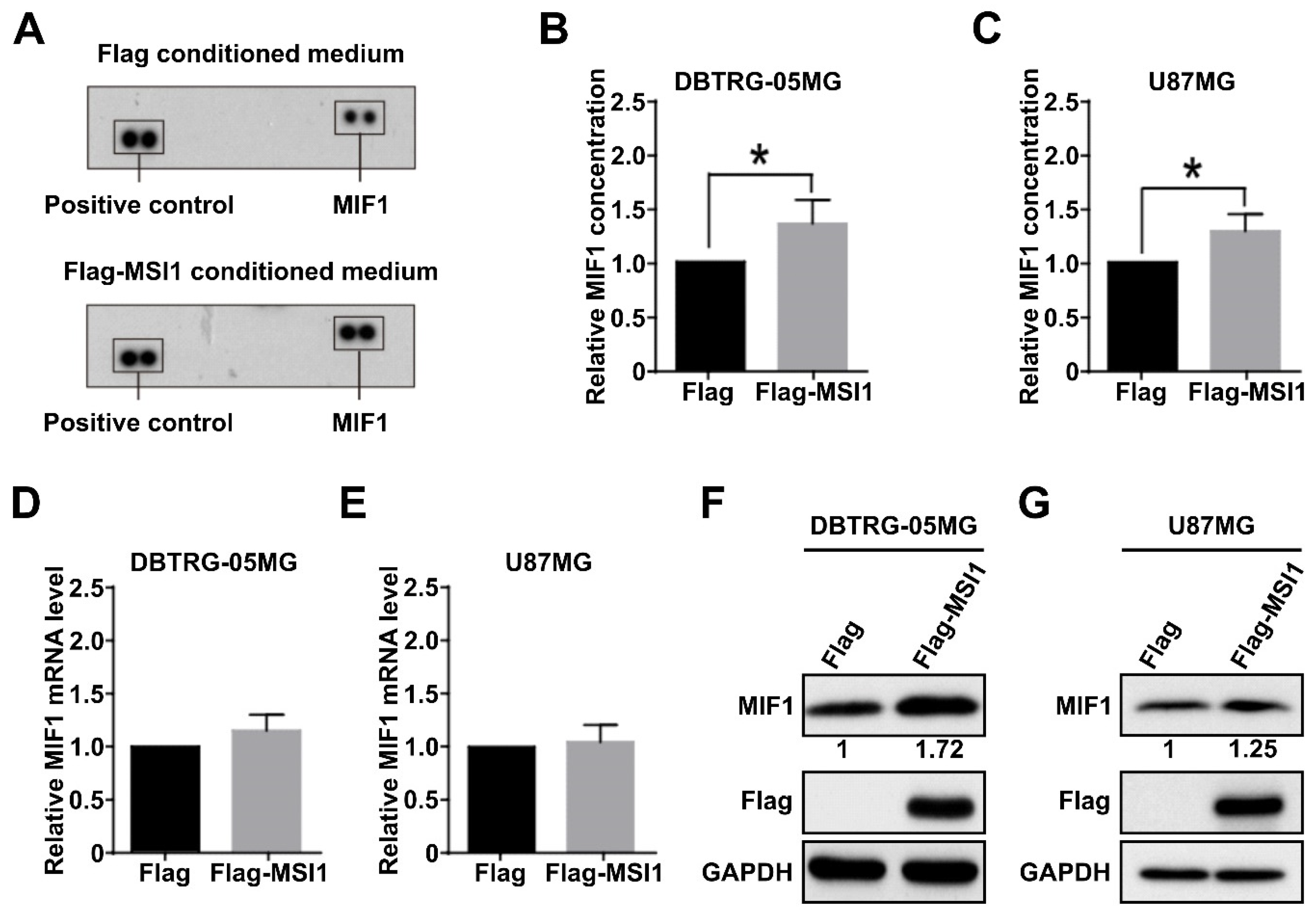 Cancers 13 01799 g001