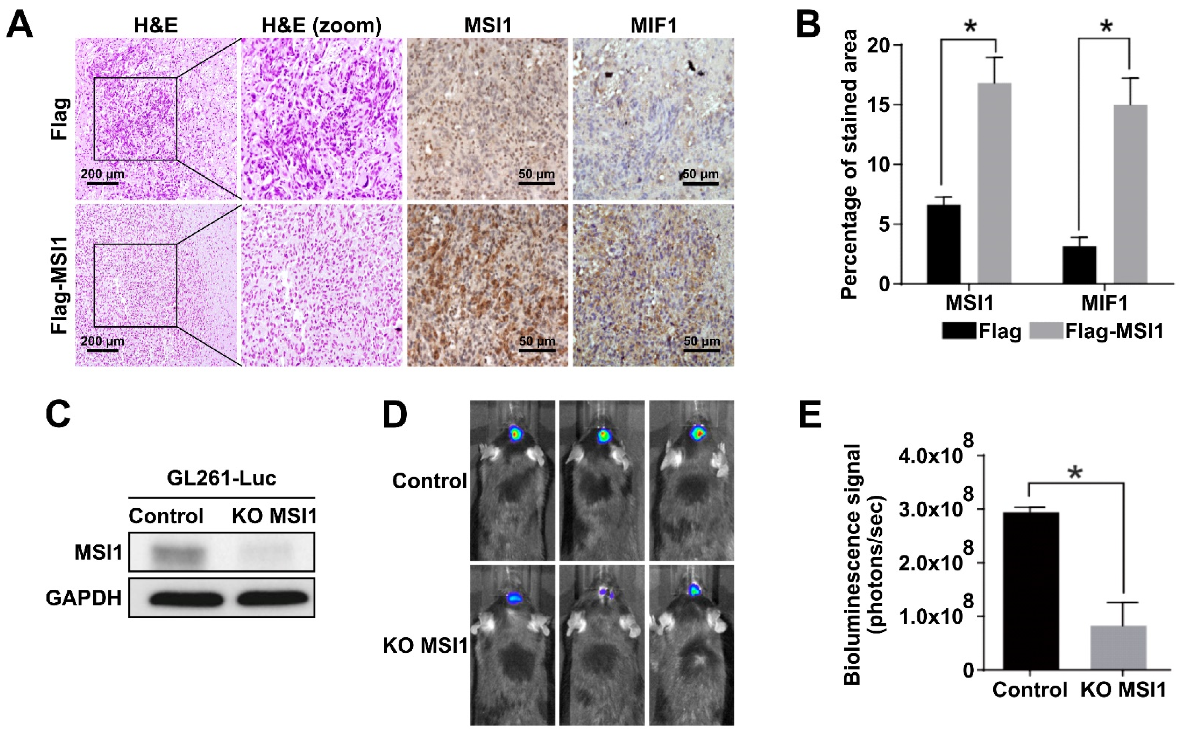 Cancers 13 01799 g003