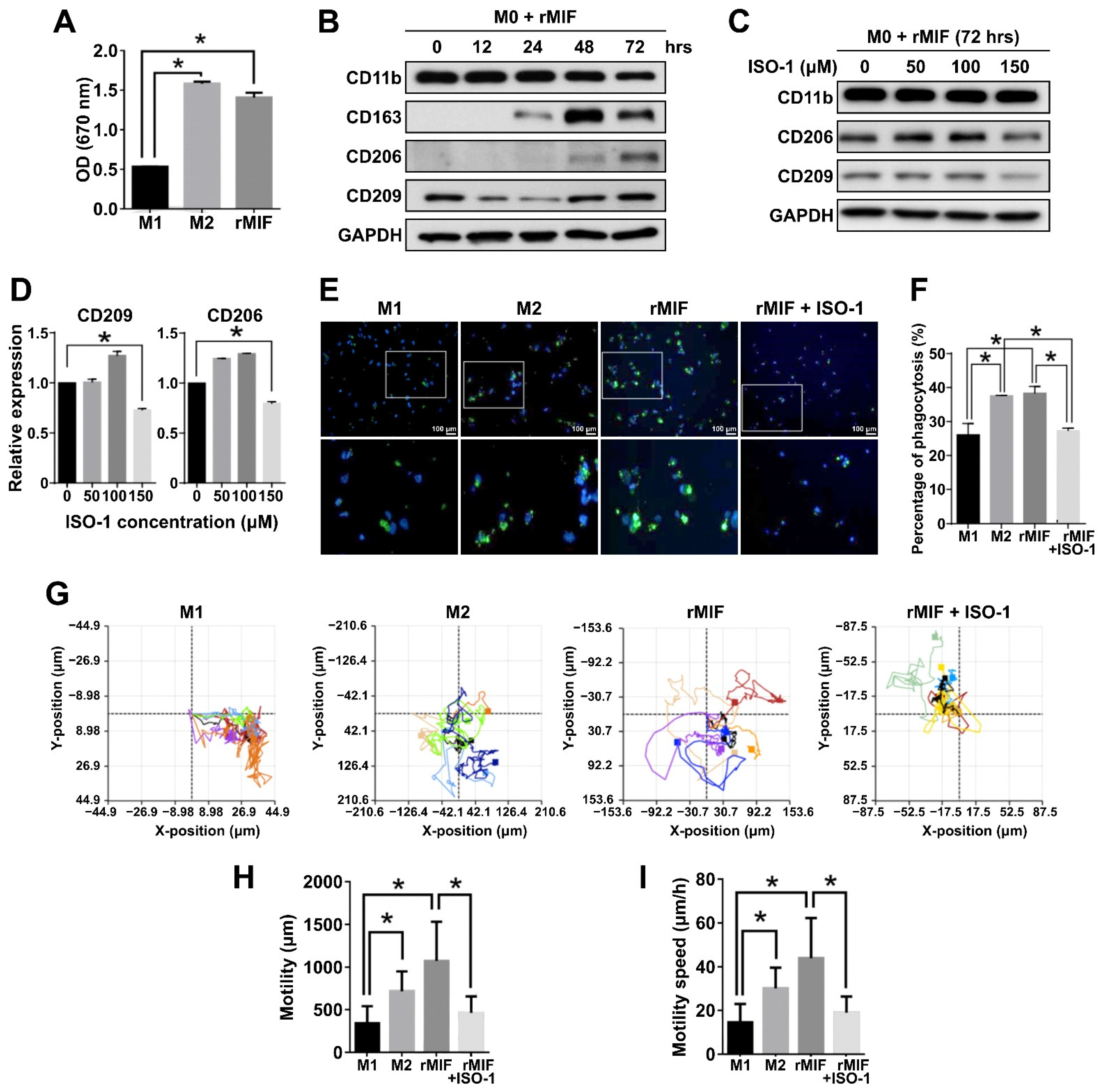 Cancers 13 01799 g004