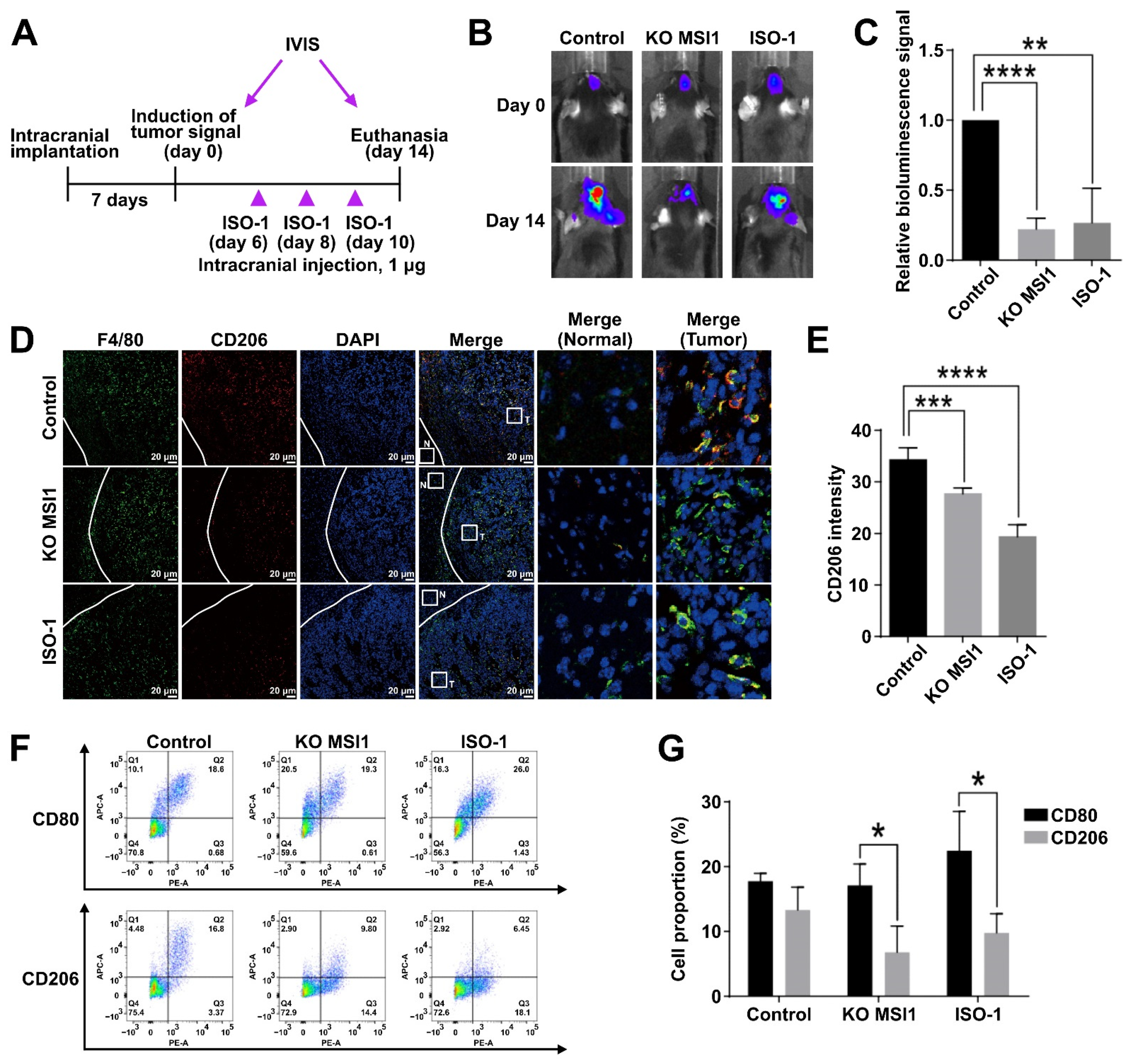 Cancers 13 01799 g005
