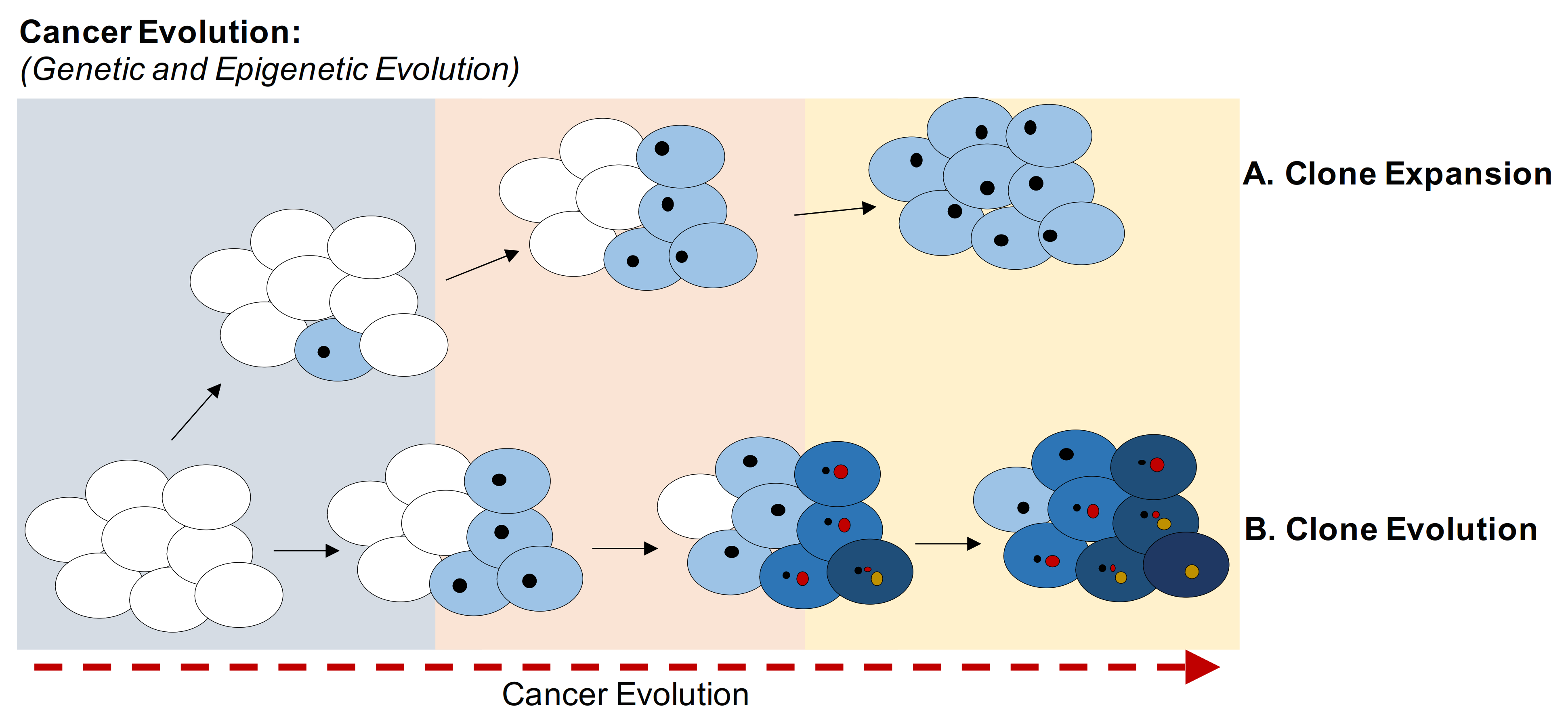 Cancers 13 01800 g001 Cancers 13 01800 g001
