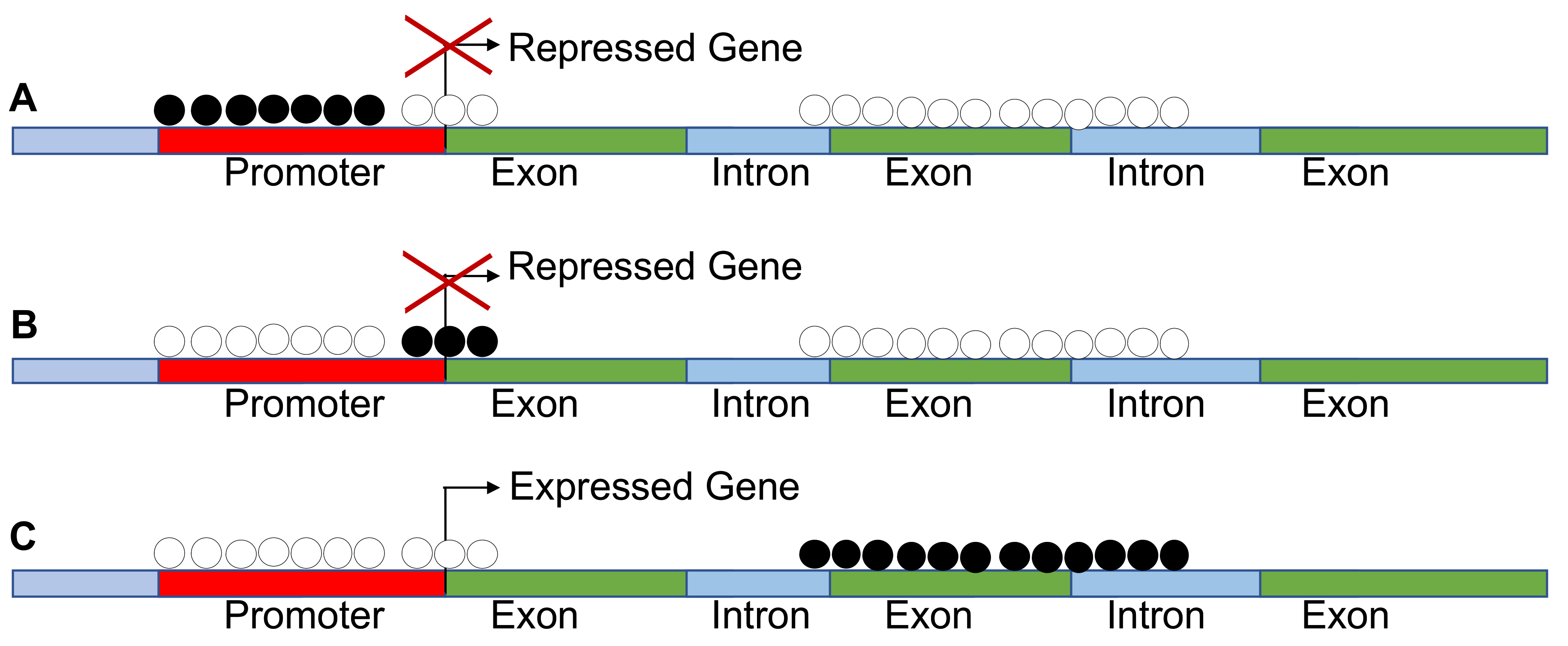 Cancers 13 01800 g002 Cancers 13 01800 g002